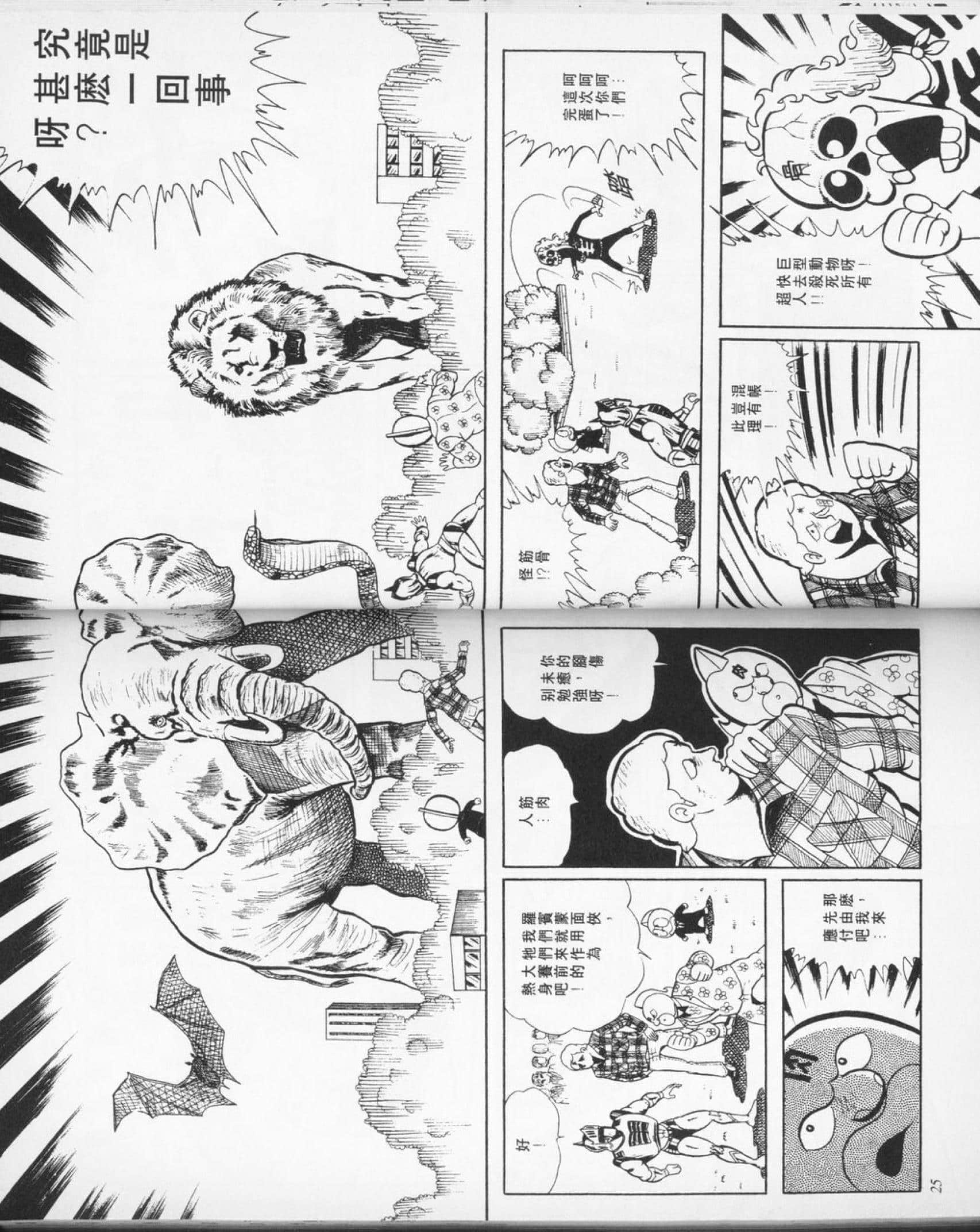 第 25 页
