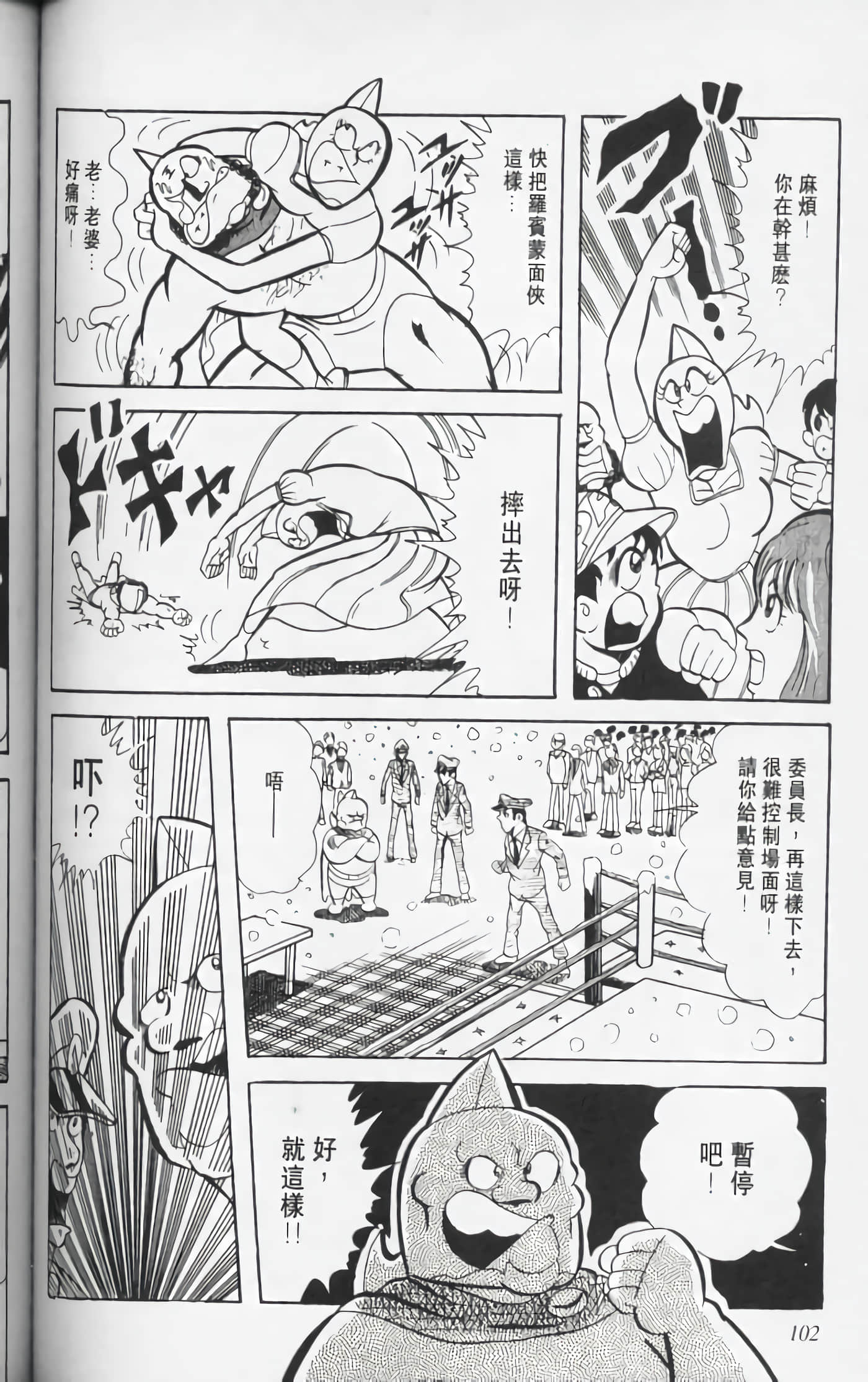 第 101 页