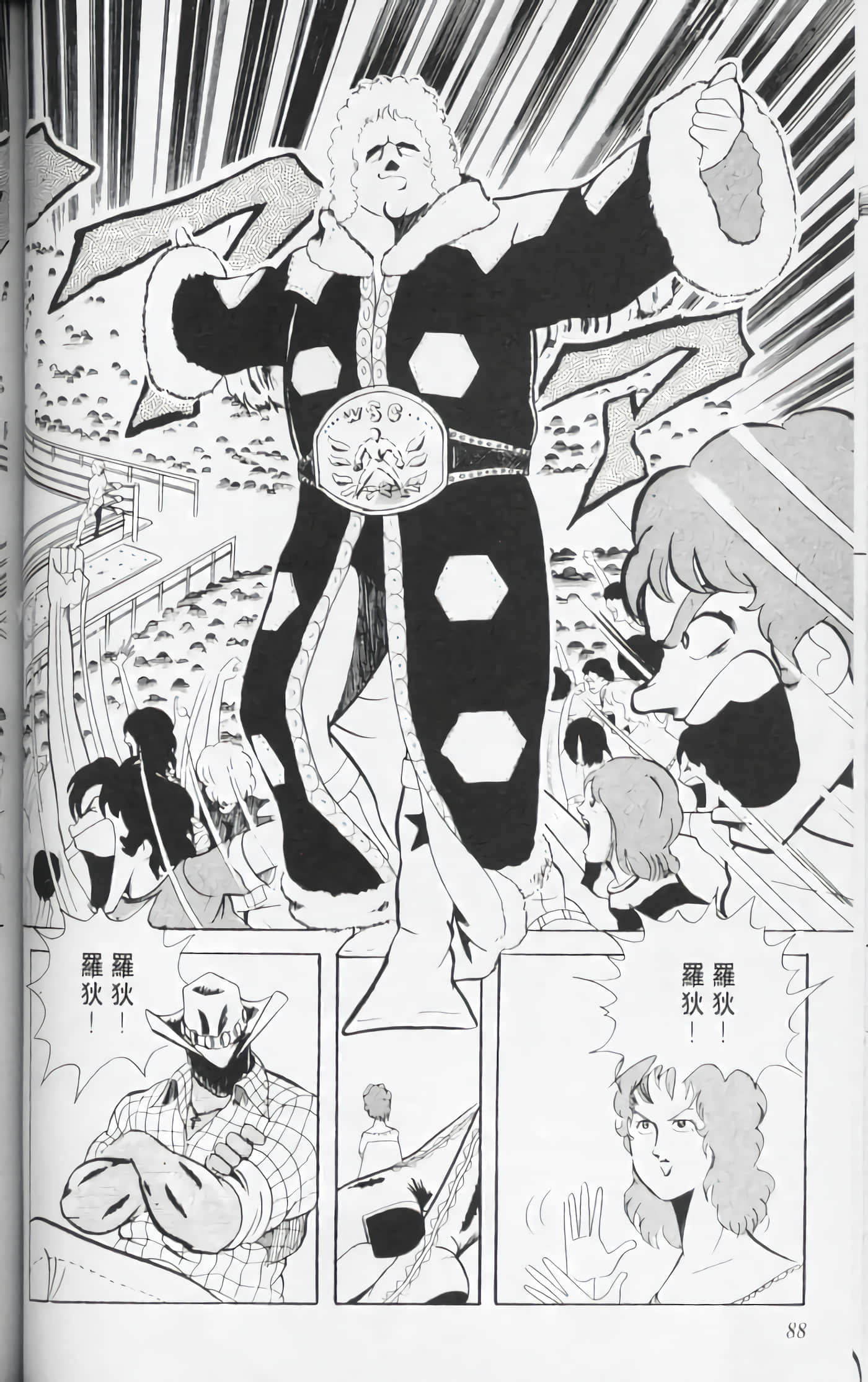 第 87 页