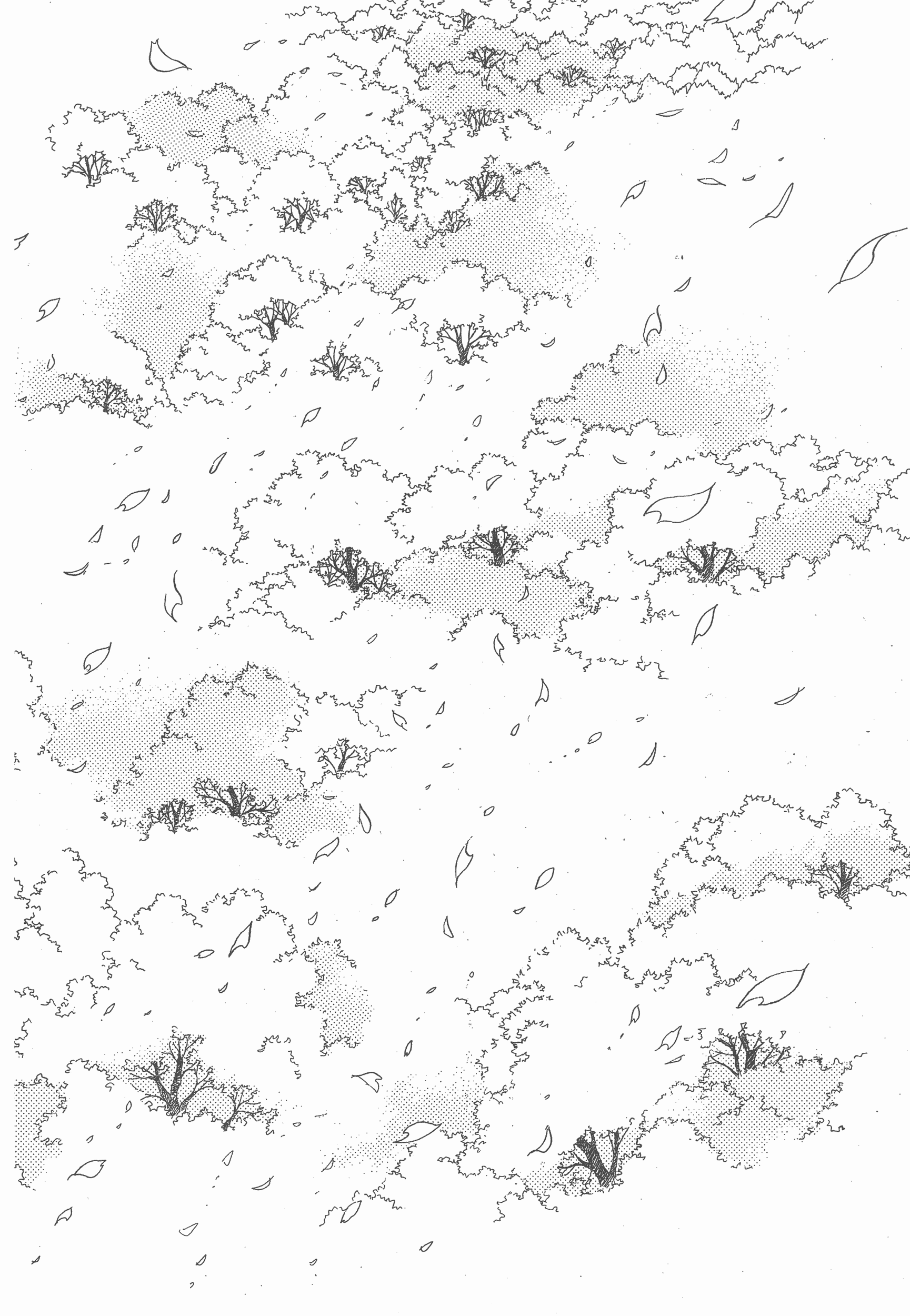 Page 242