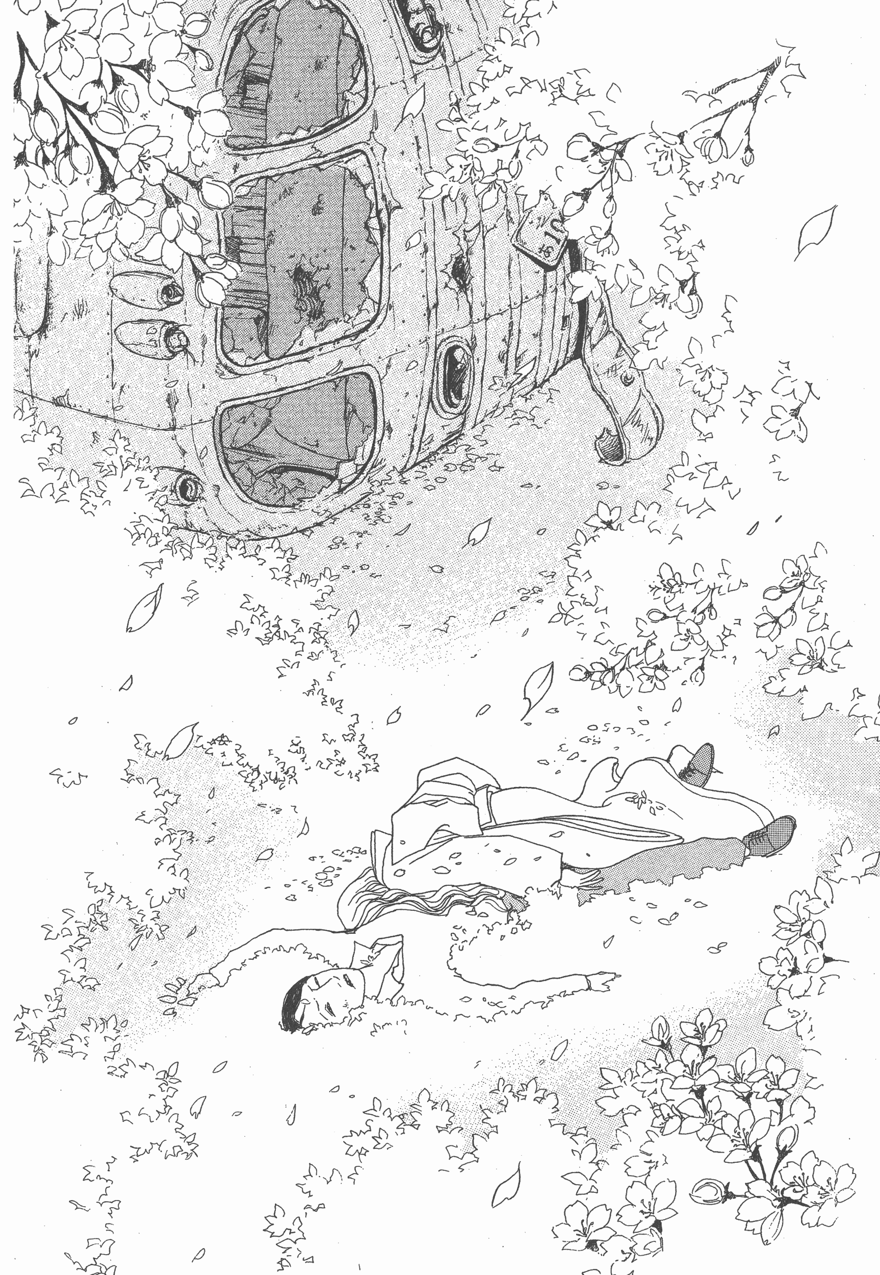 Page 244