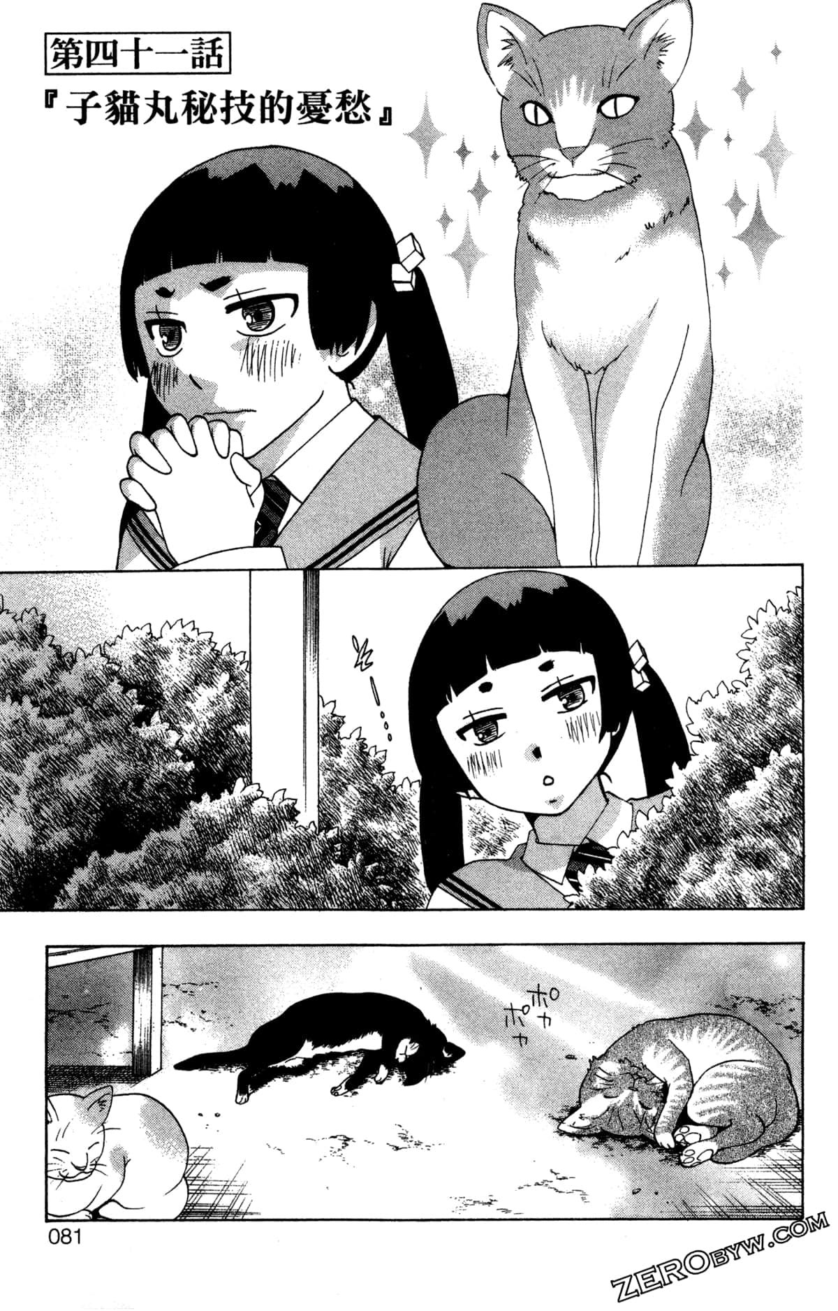 第 84 页