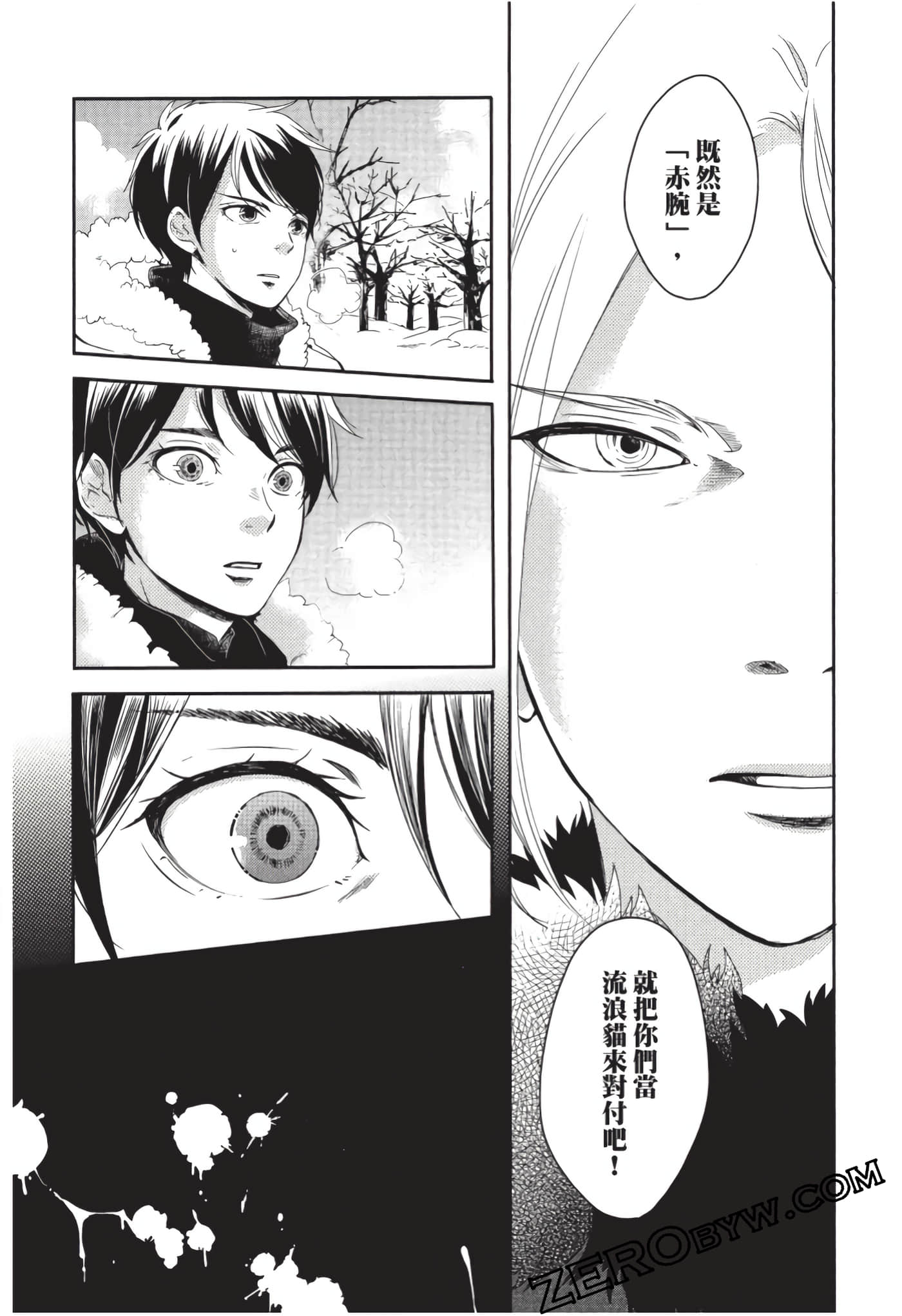 第 91 页