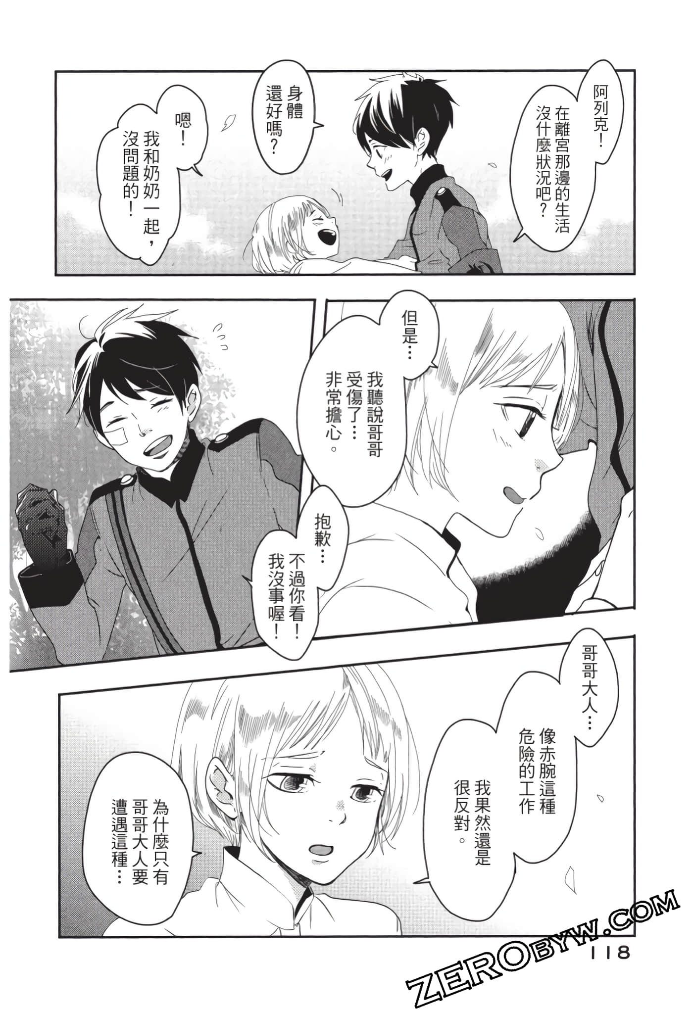 第 119 页