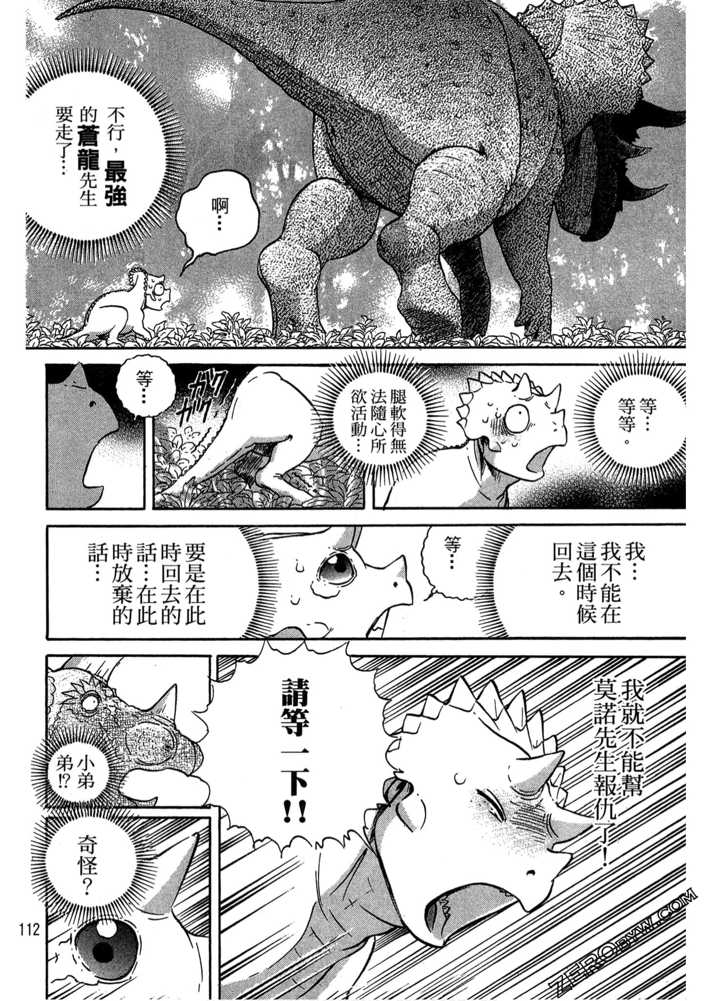 Page 113
