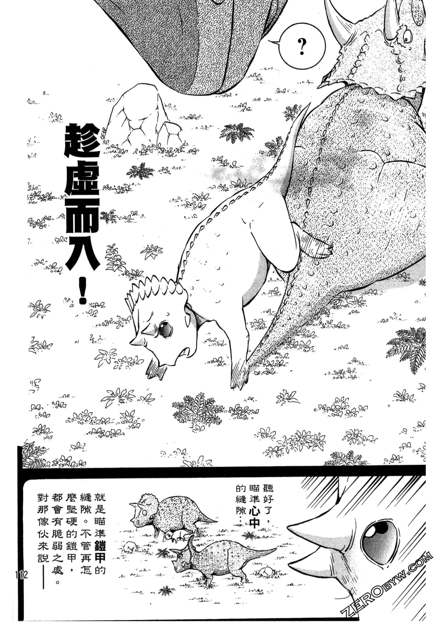 Page 113