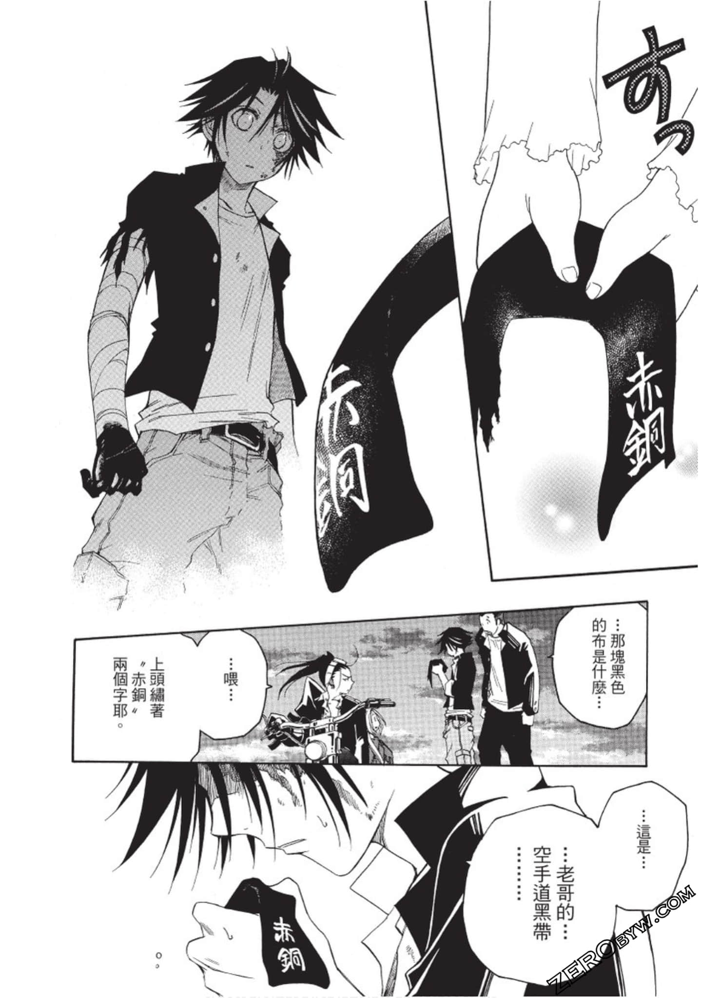 Page 219