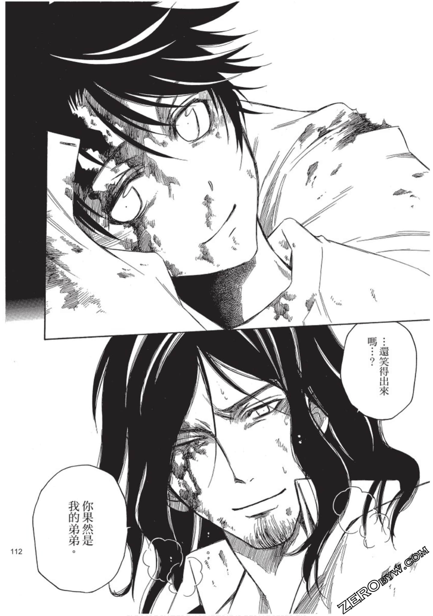 Page 113