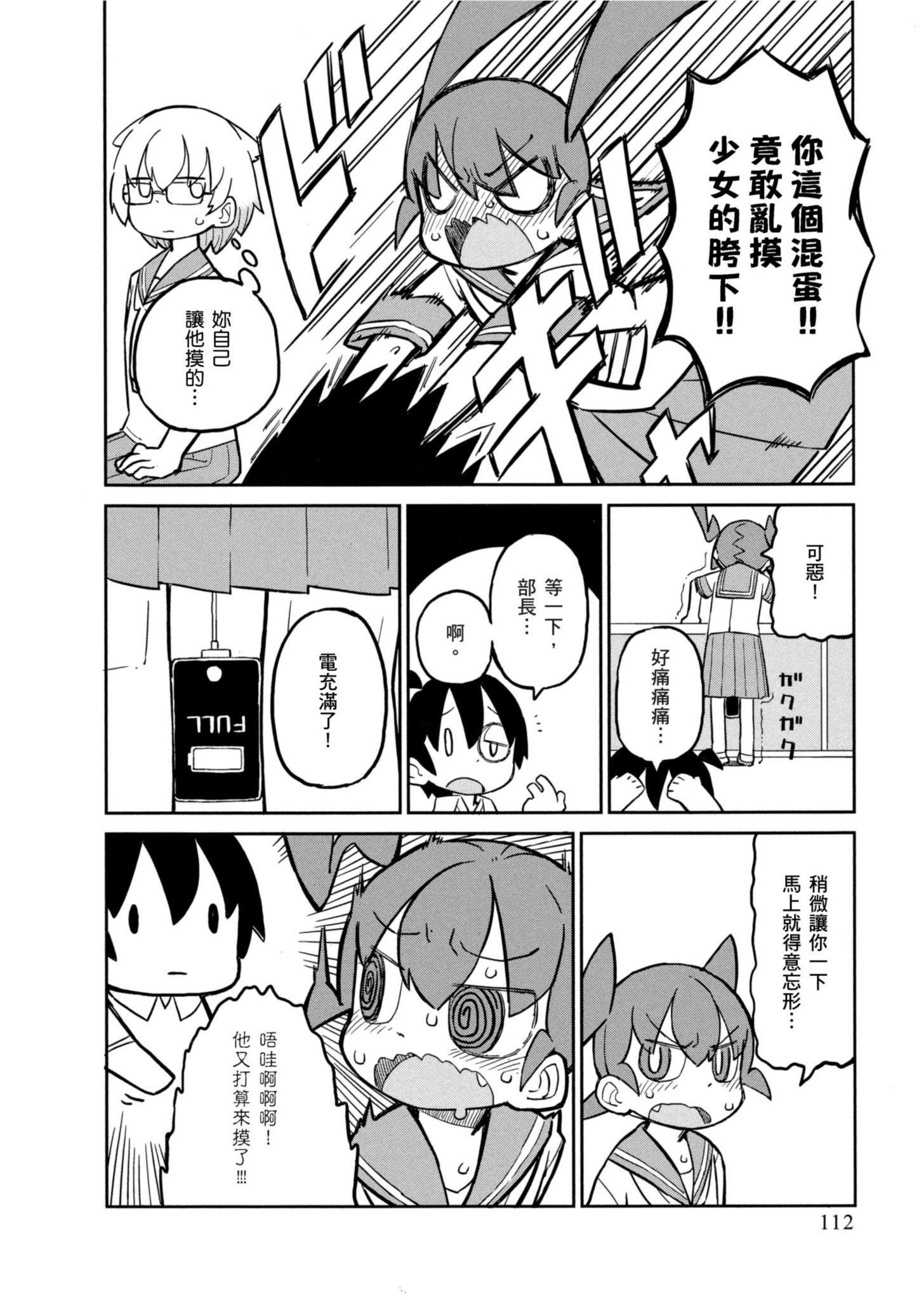 Page 113