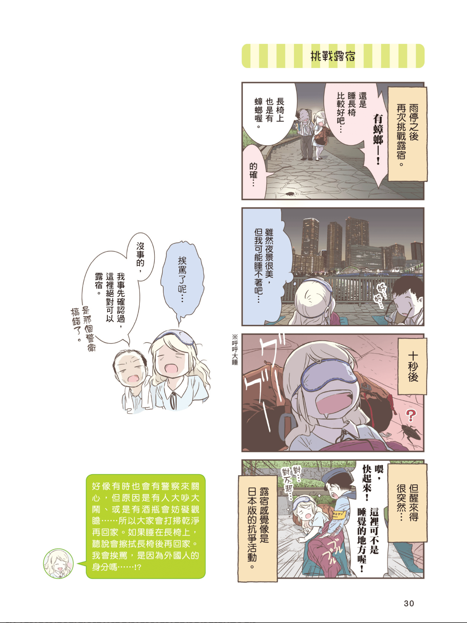 Page 31