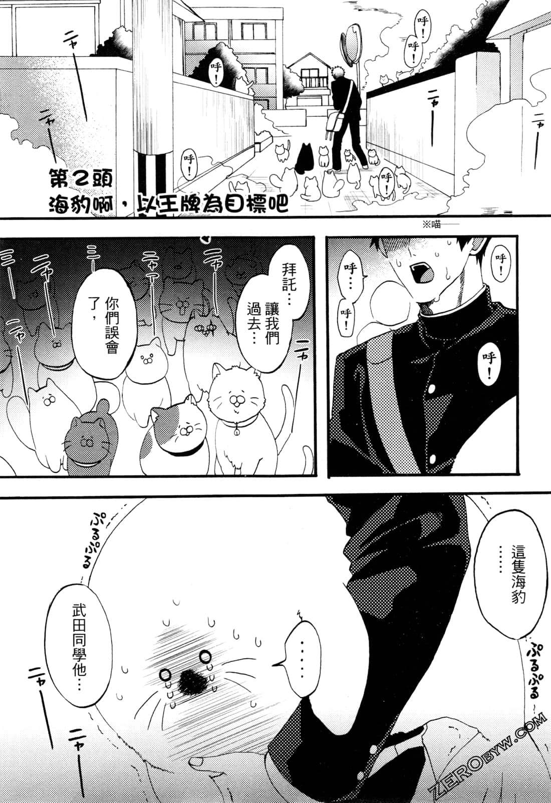 Page 55