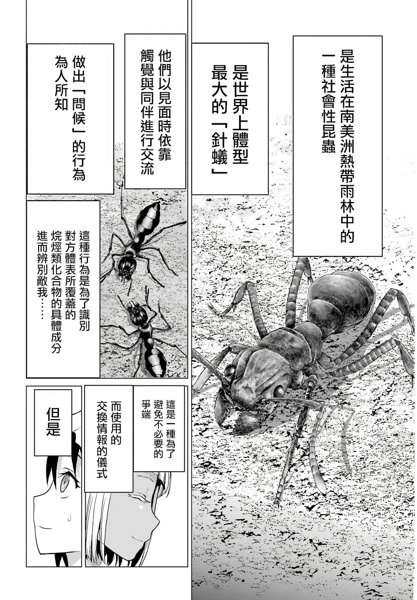 第 41 页
