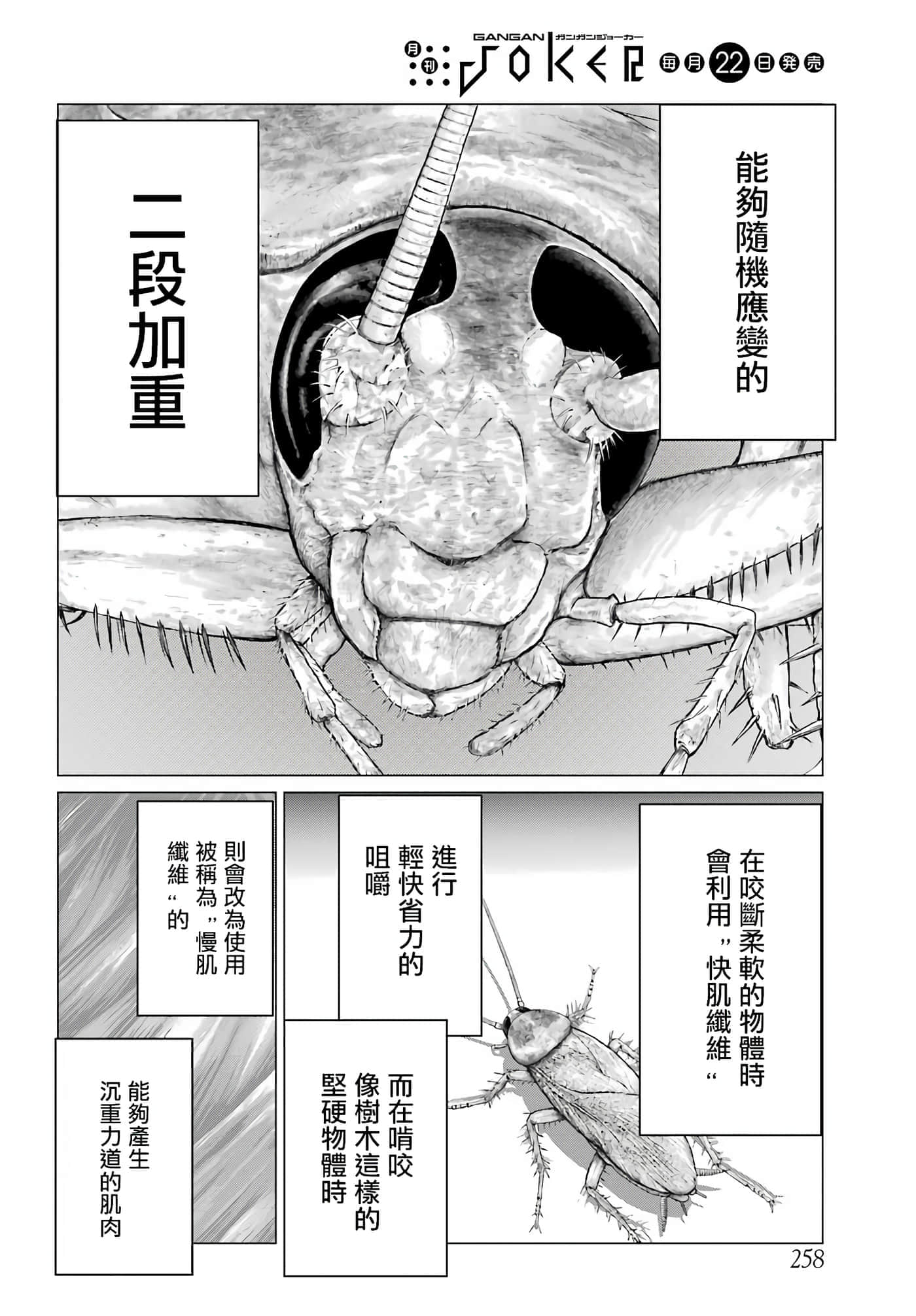 第 25 页