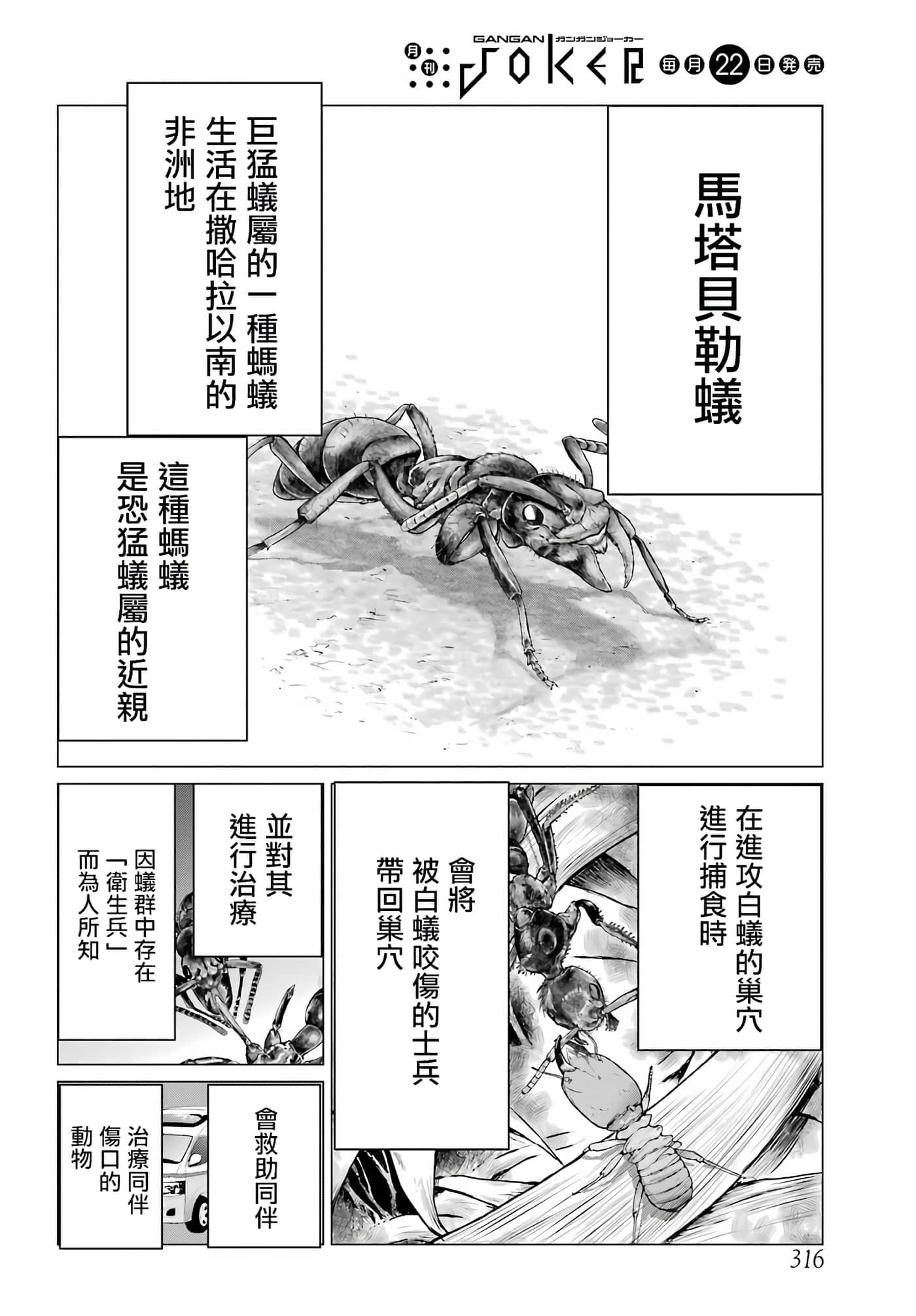 第 30 页