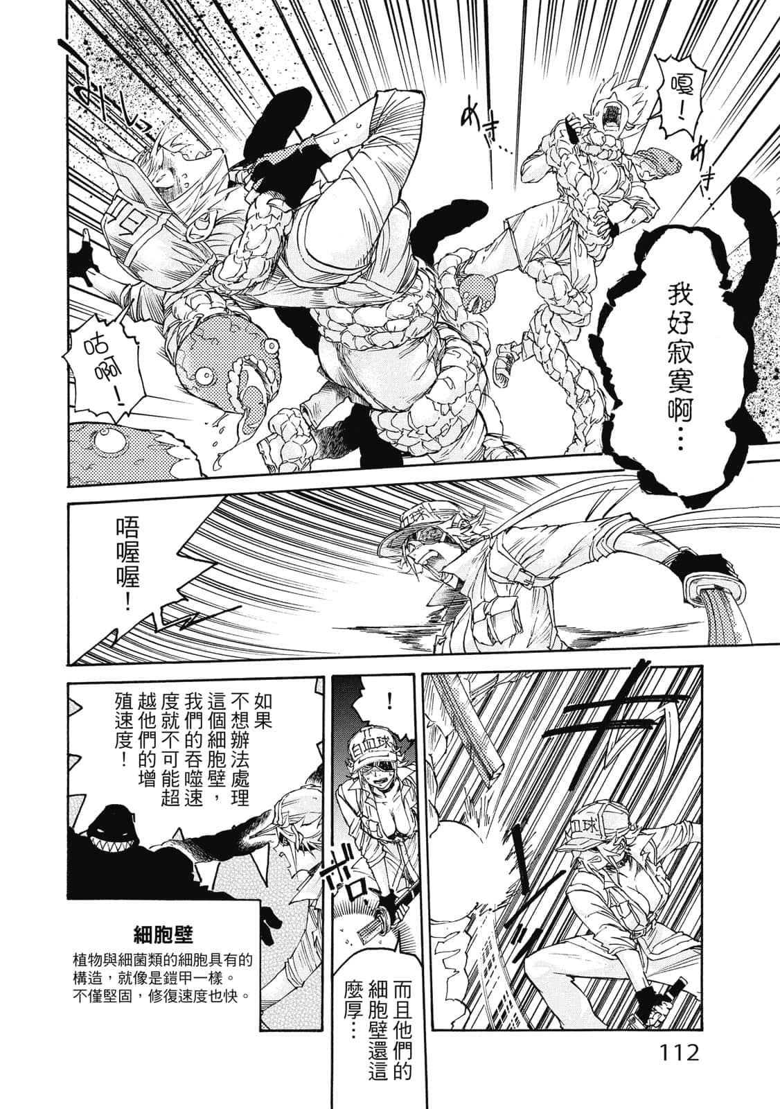 Page 113