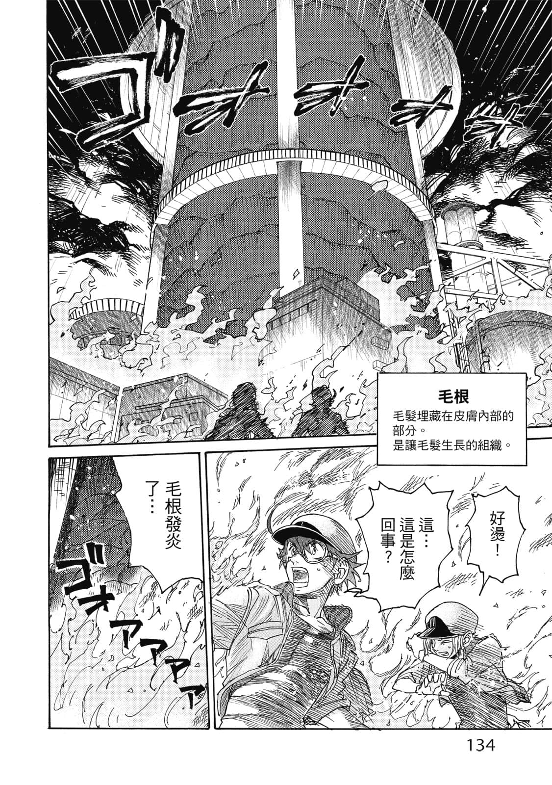 Page 135