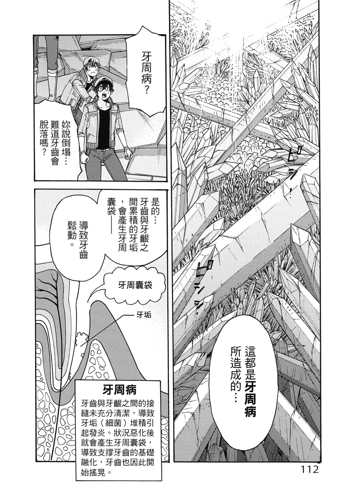 第 113 页