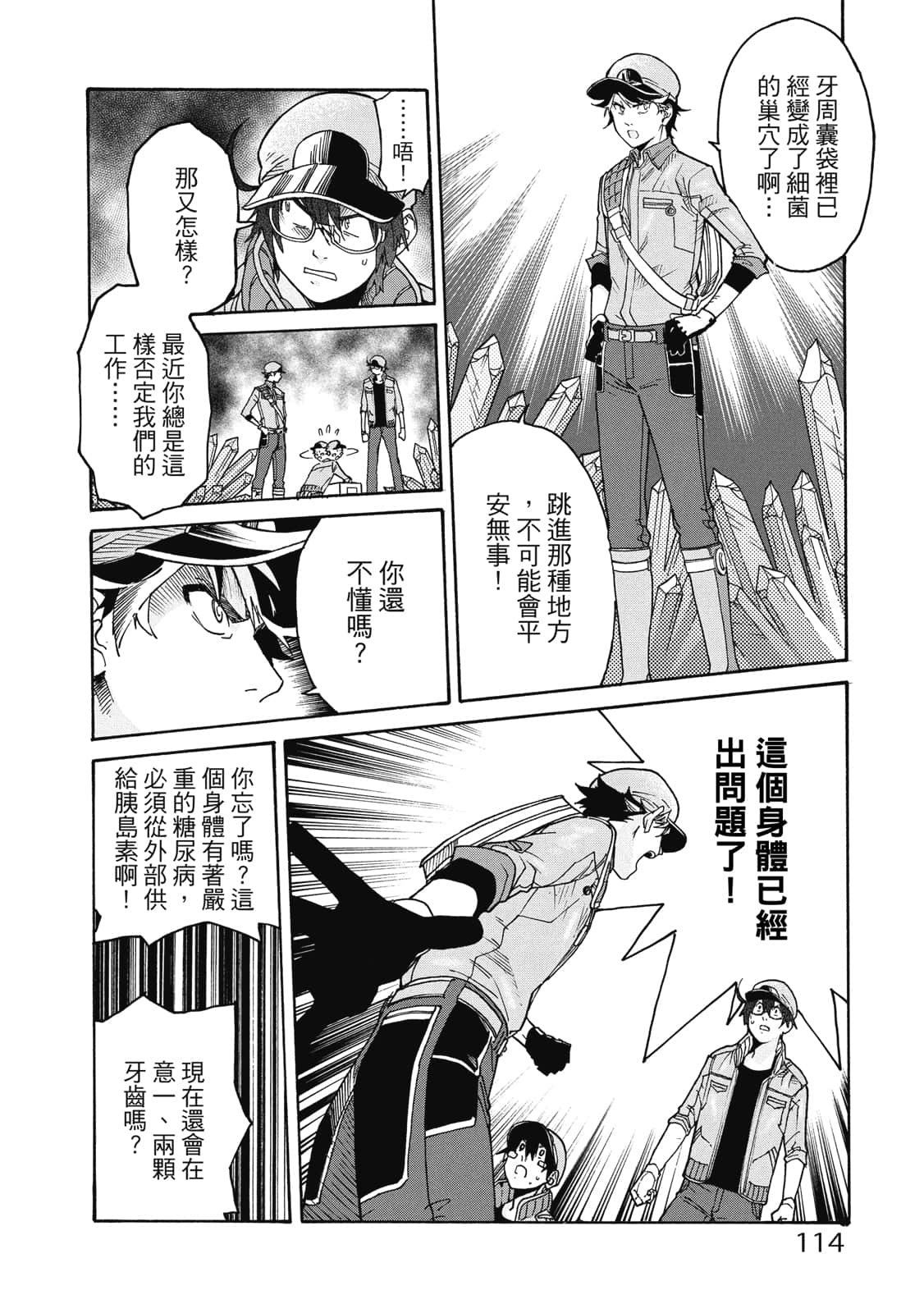 第 115 页