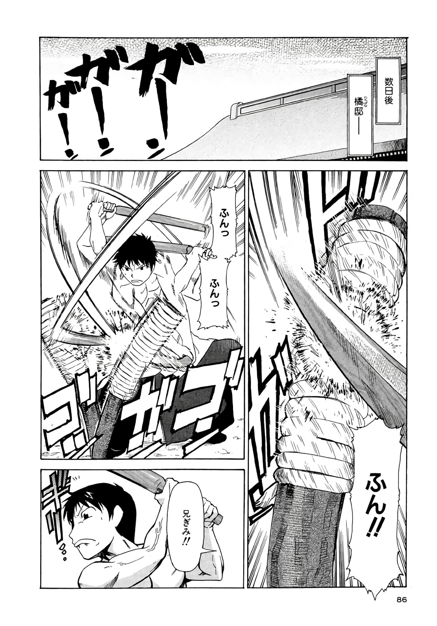 Page 87