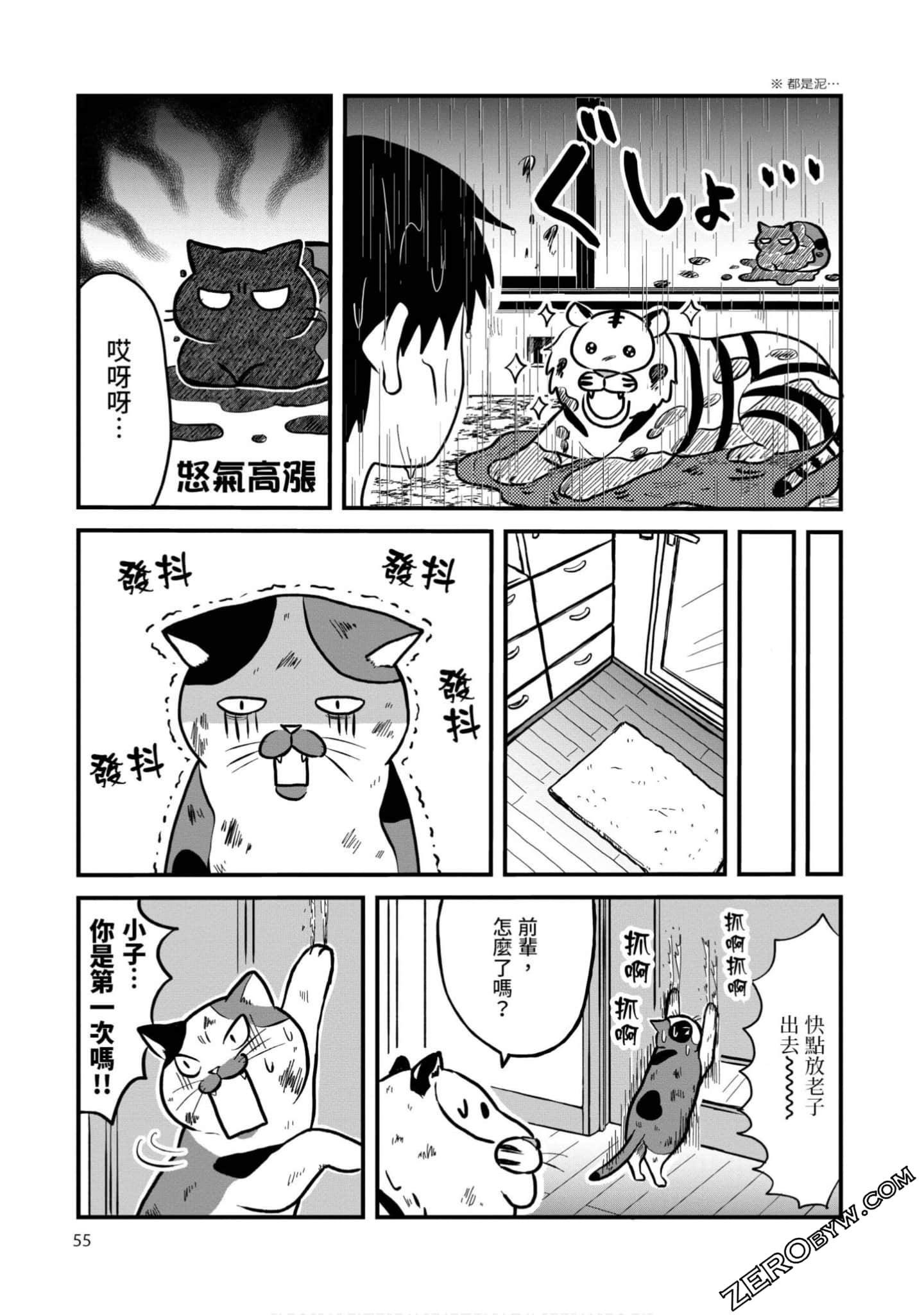 Page 54