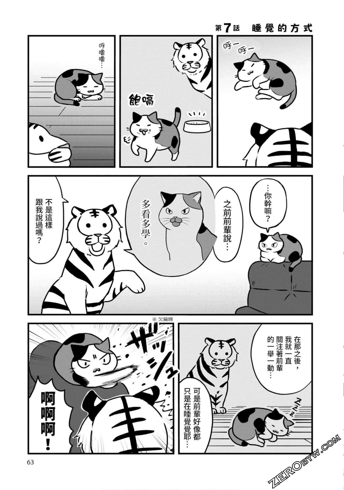 Page 62
