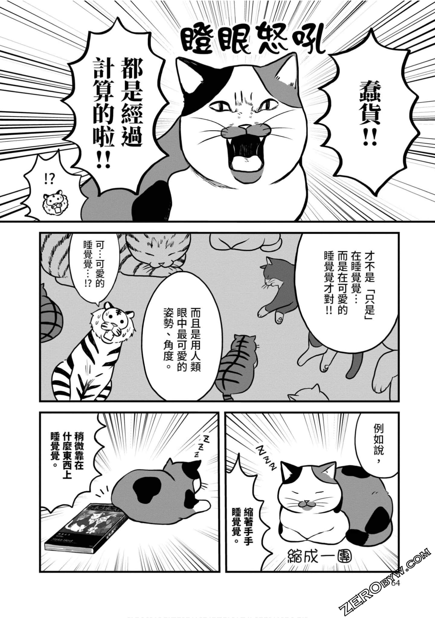 Page 63