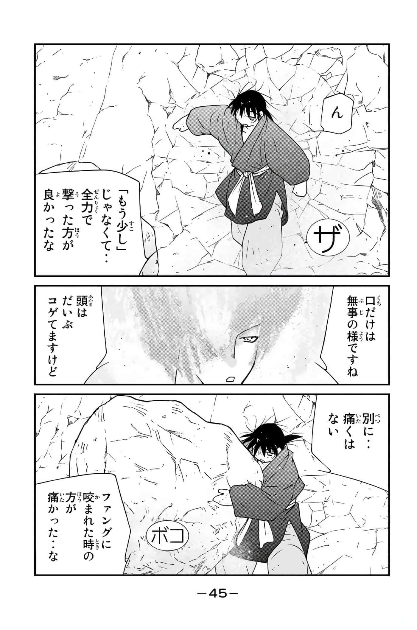 第 46 页