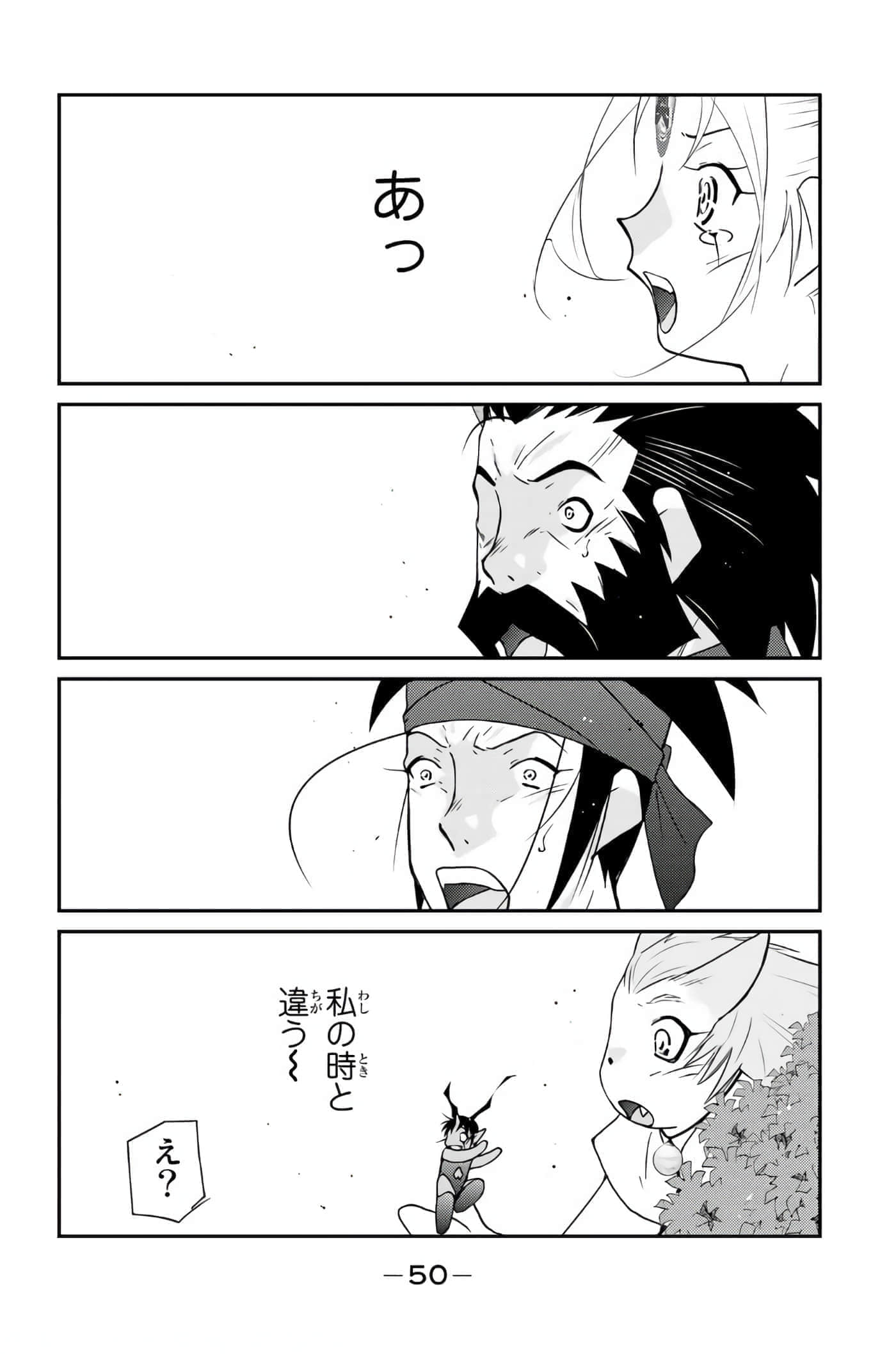第 51 页