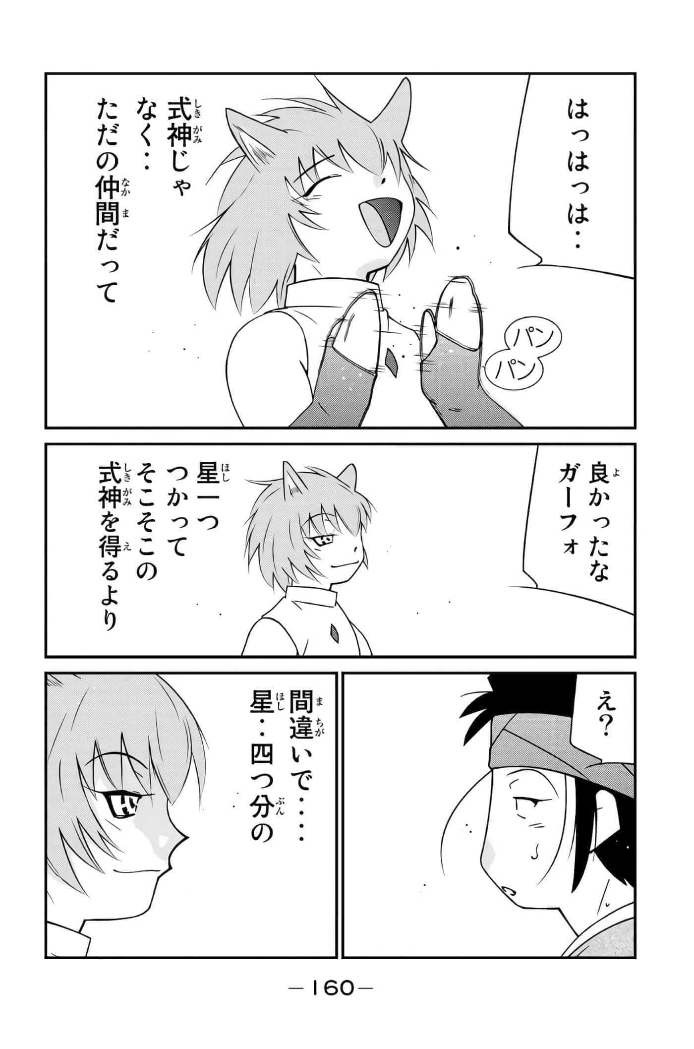 第 161 页