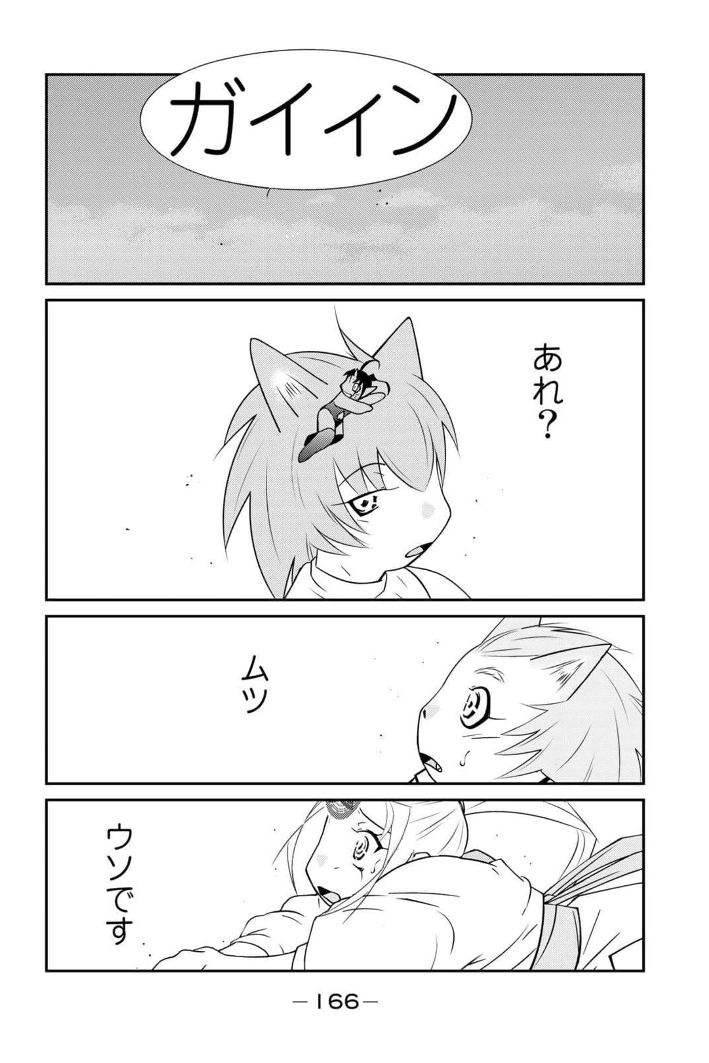 第 167 页