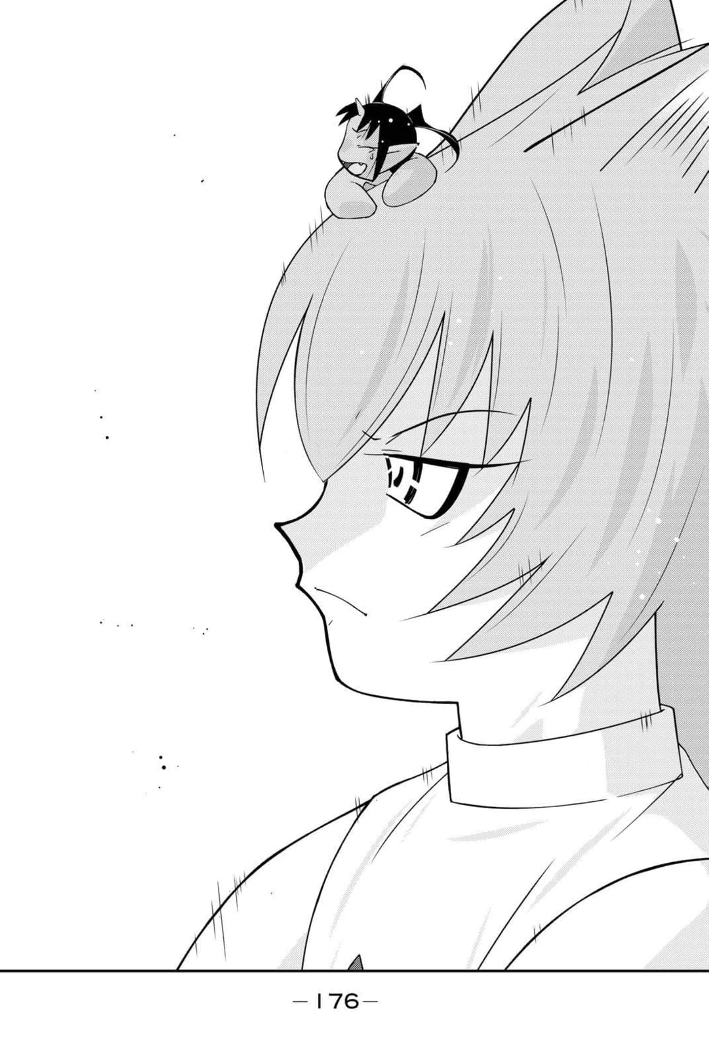 第 177 页