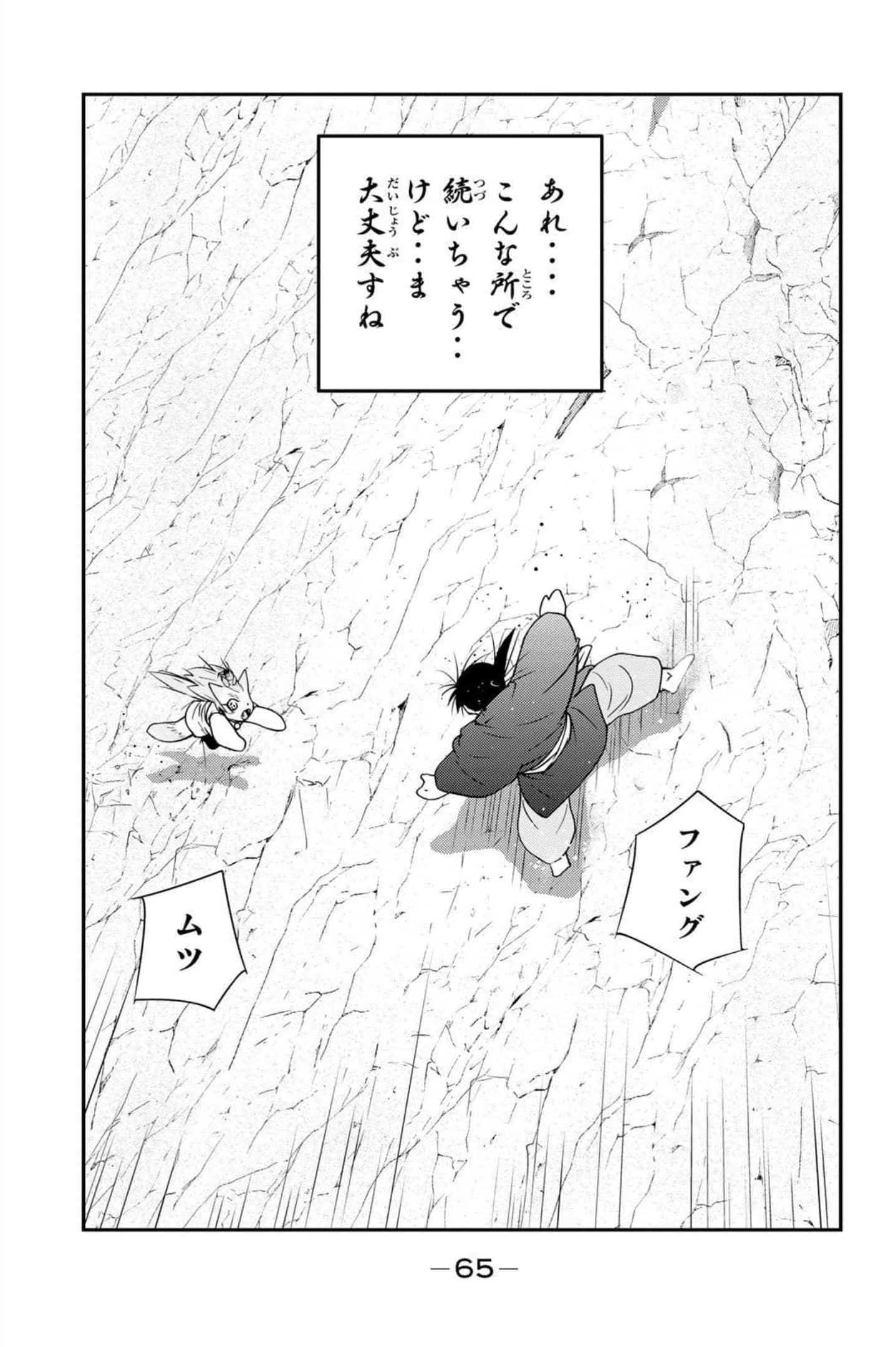 第 66 页