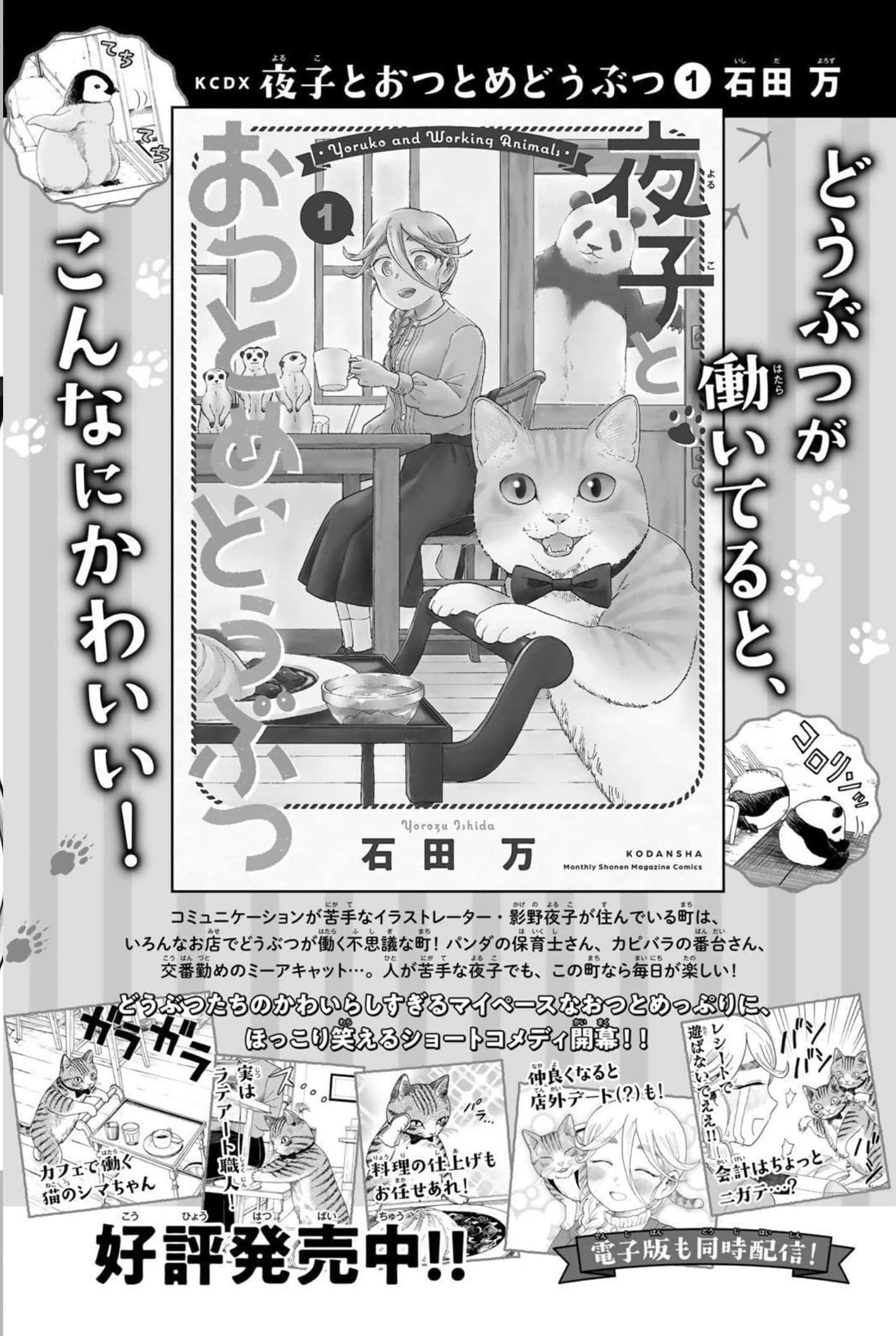 第 205 页