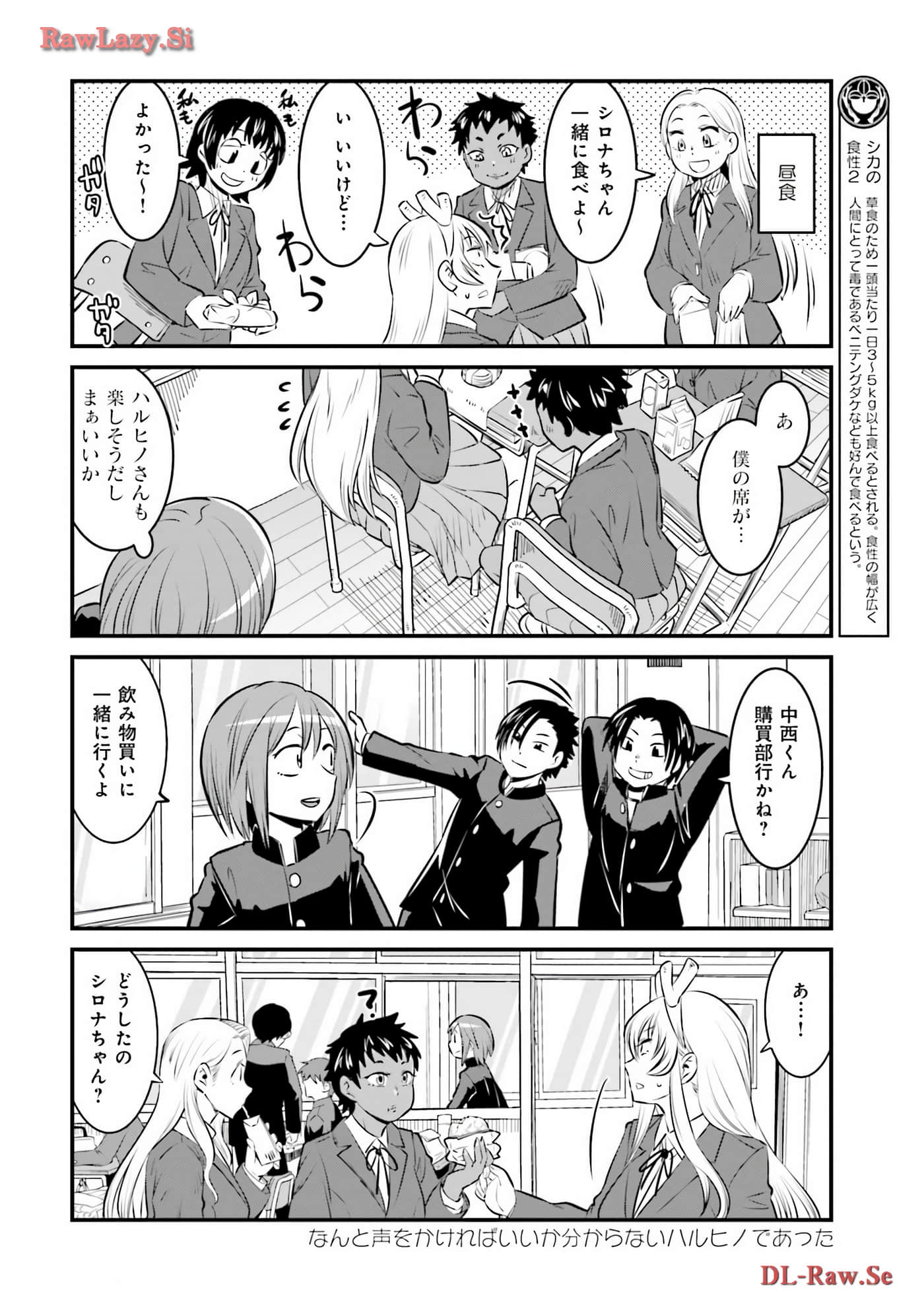 第 53 页