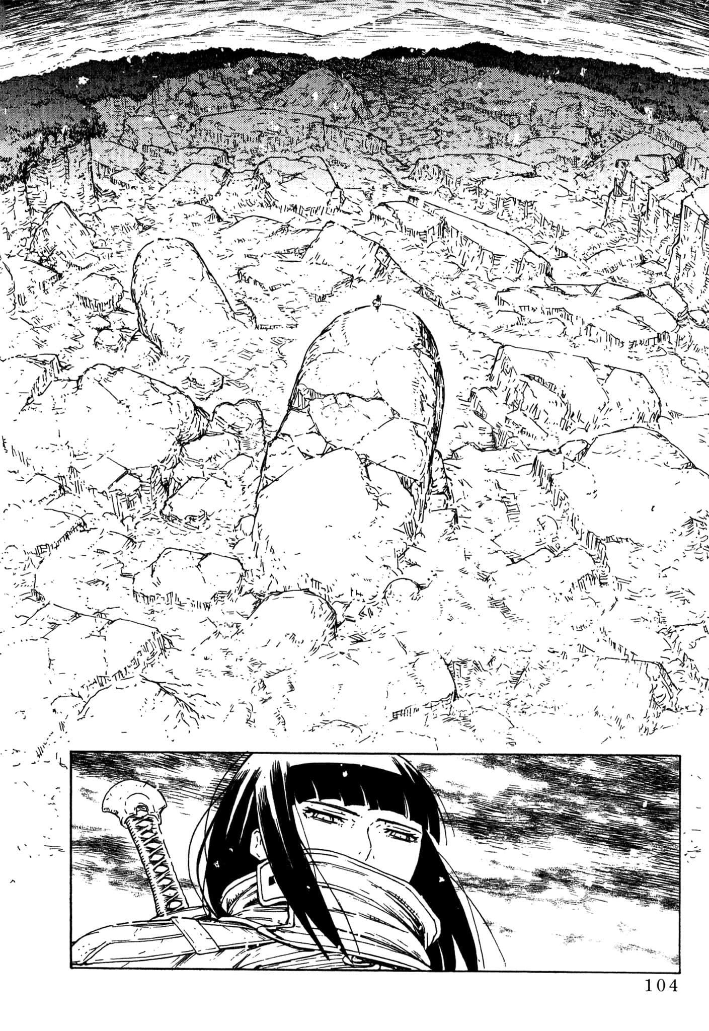Page 105