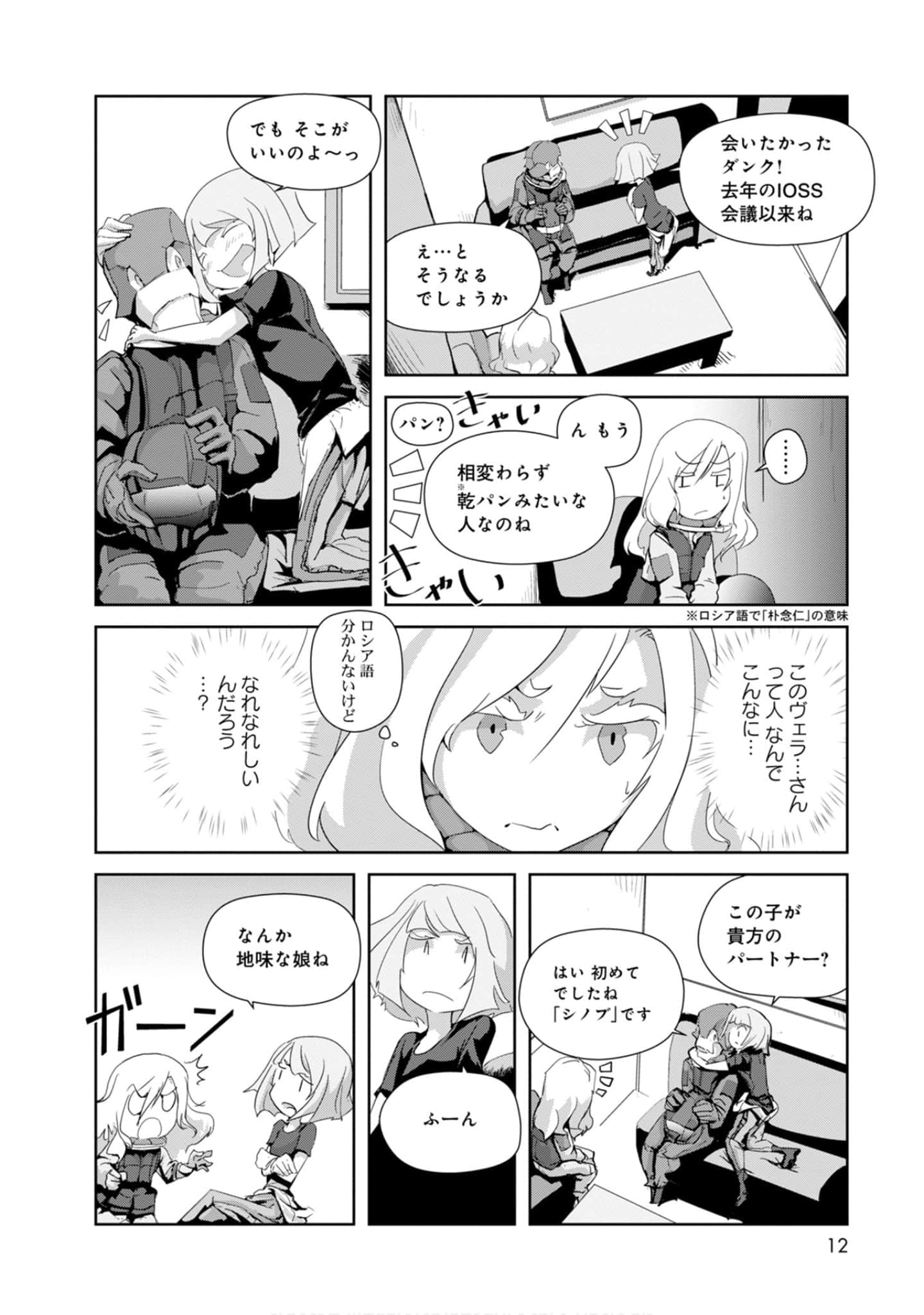 第 12 页