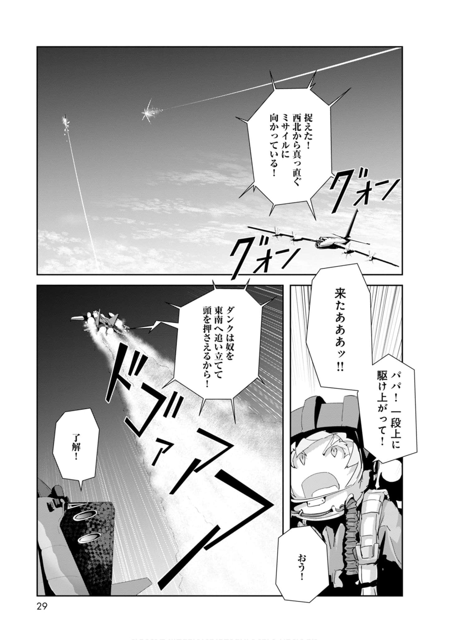 第 29 页