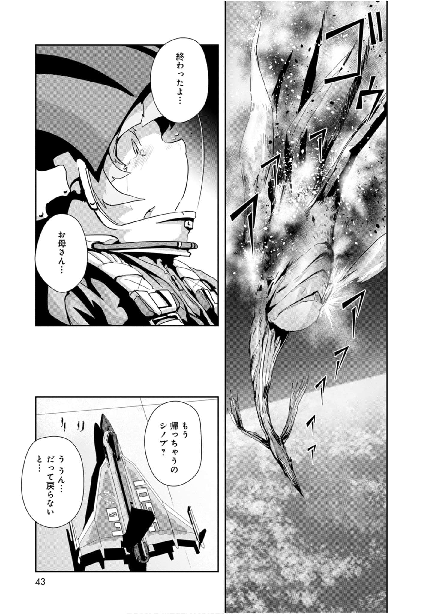 第 43 页