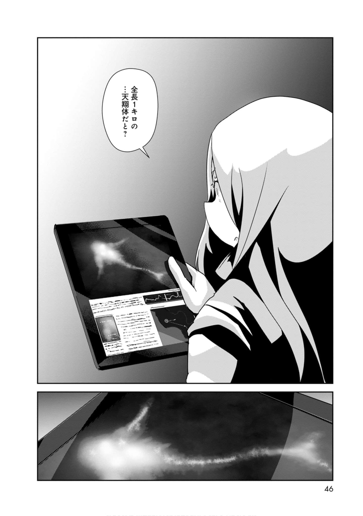 第 46 页