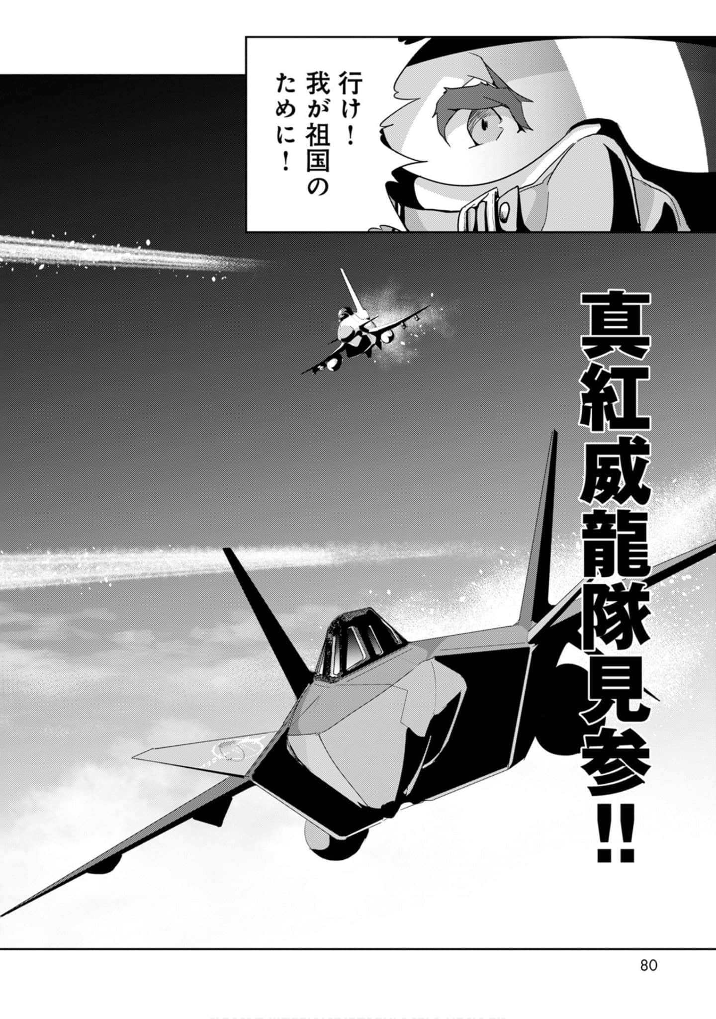 第 80 页
