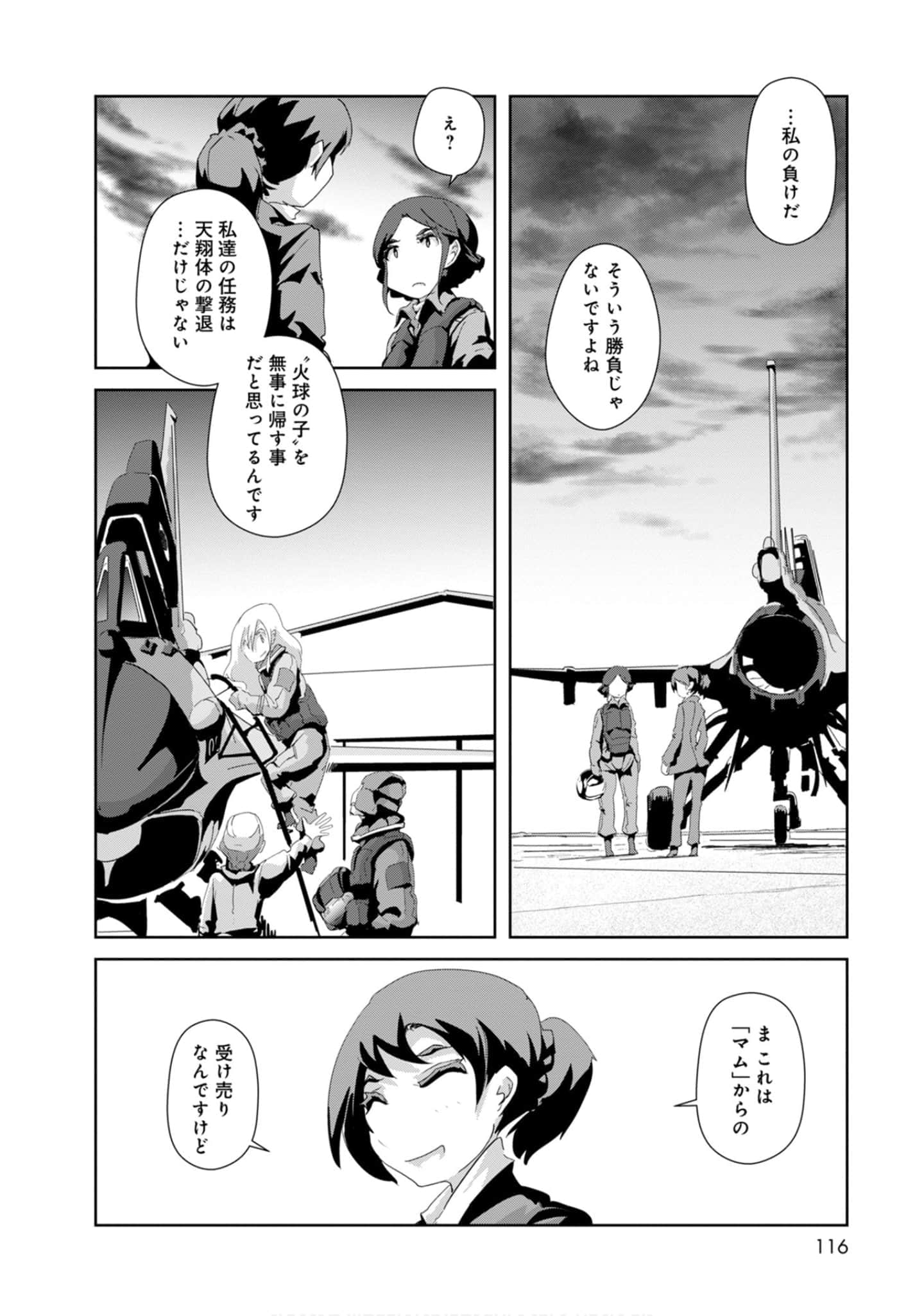 第 116 页