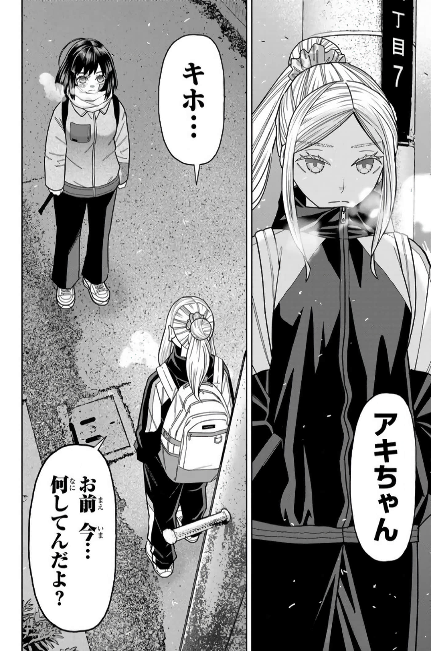 Page 101