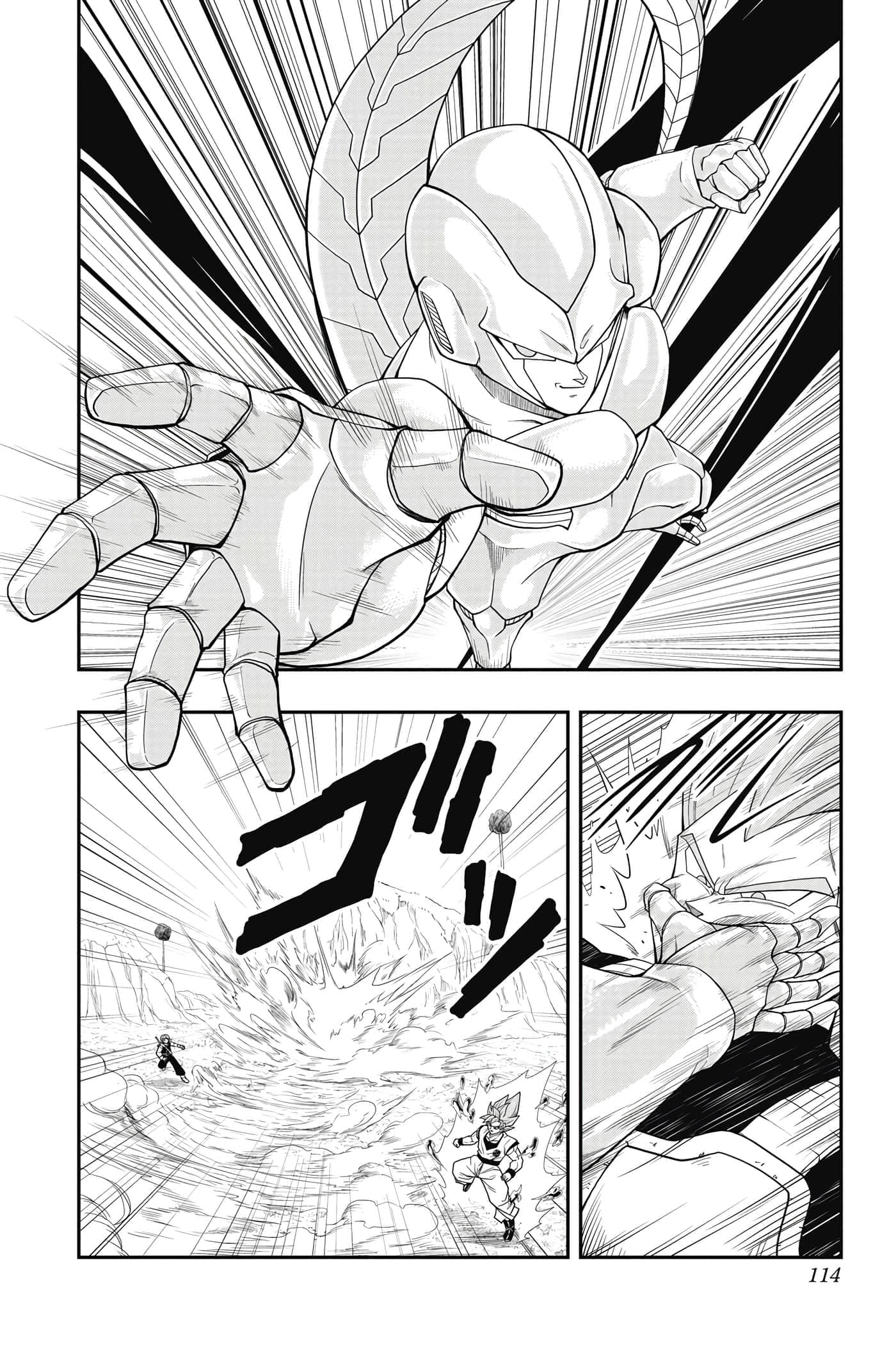 Page 113