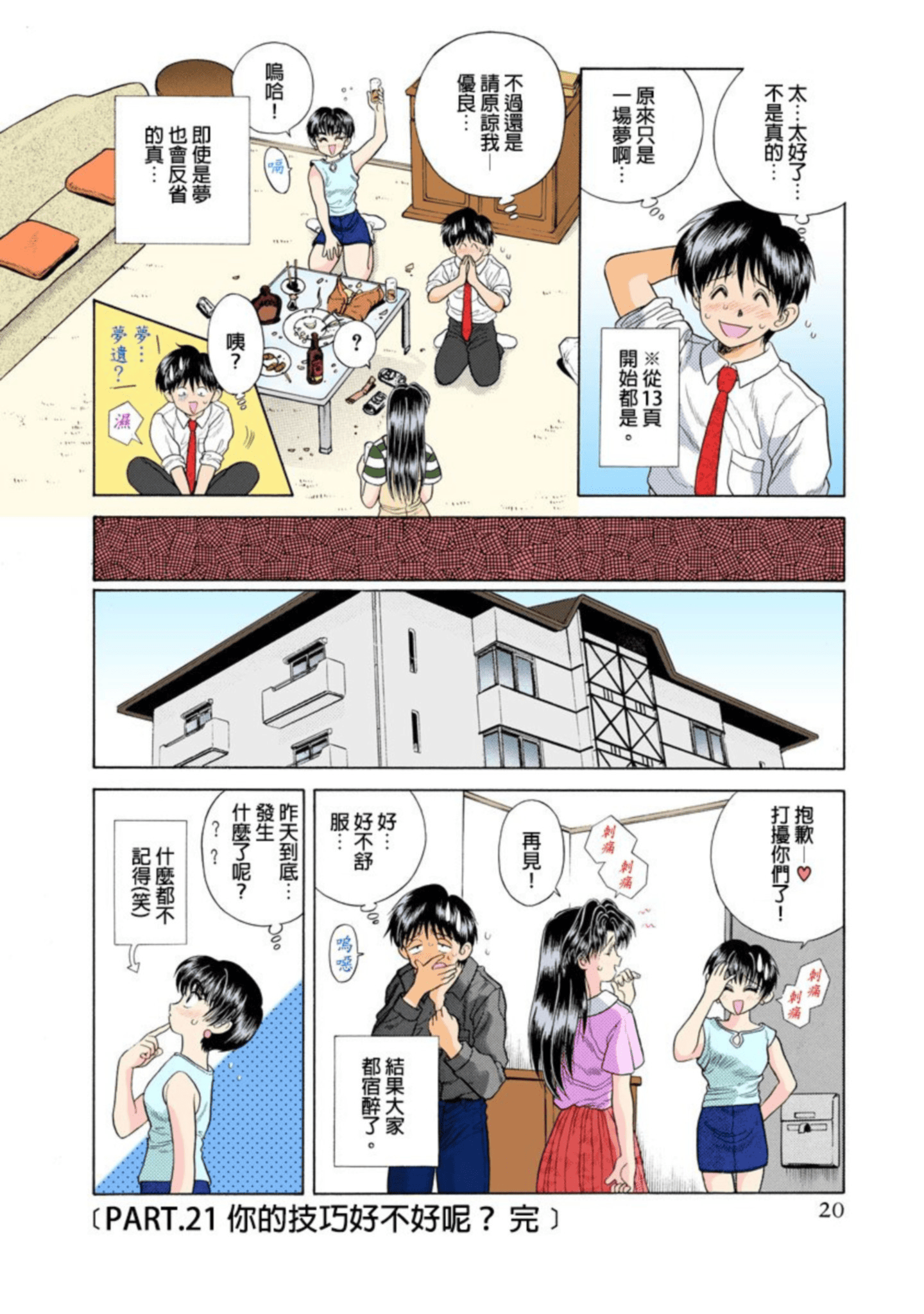 第 21 页