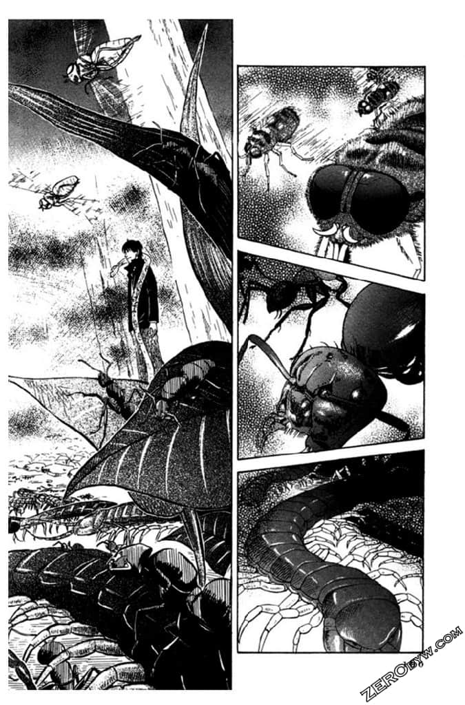 Page 161