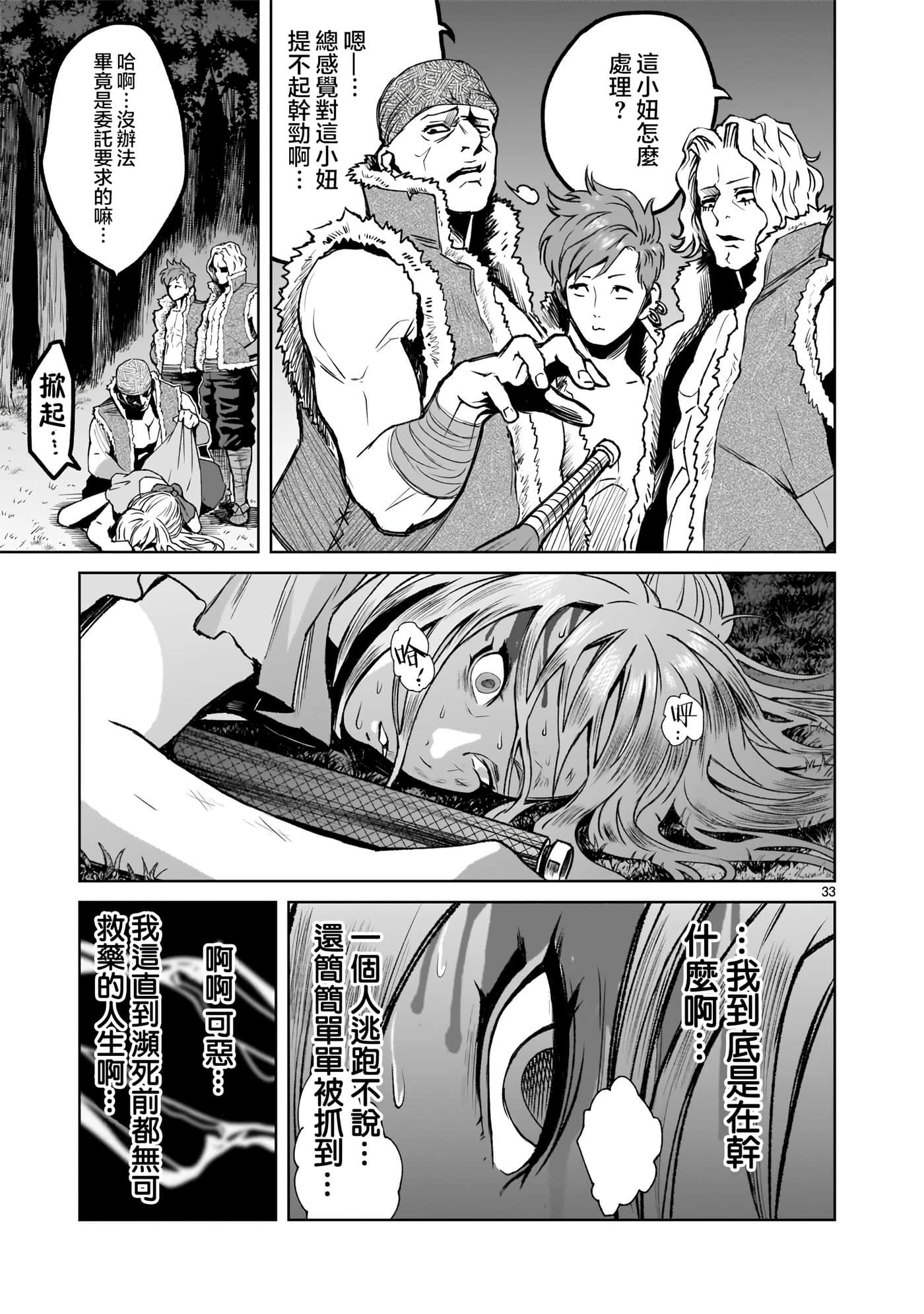 第 33 页