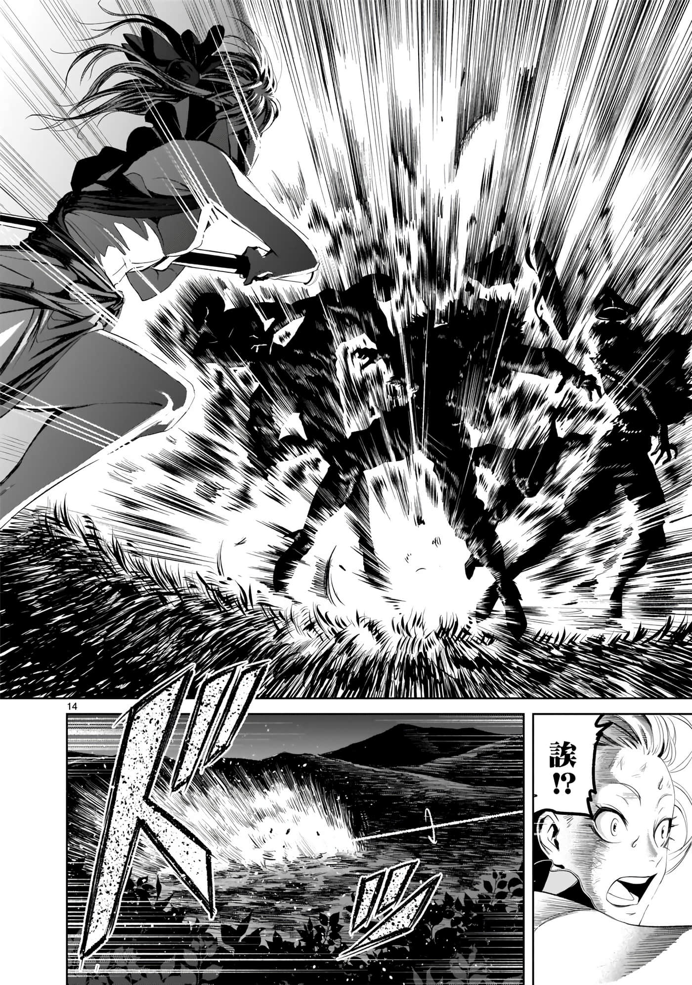 第 14 页