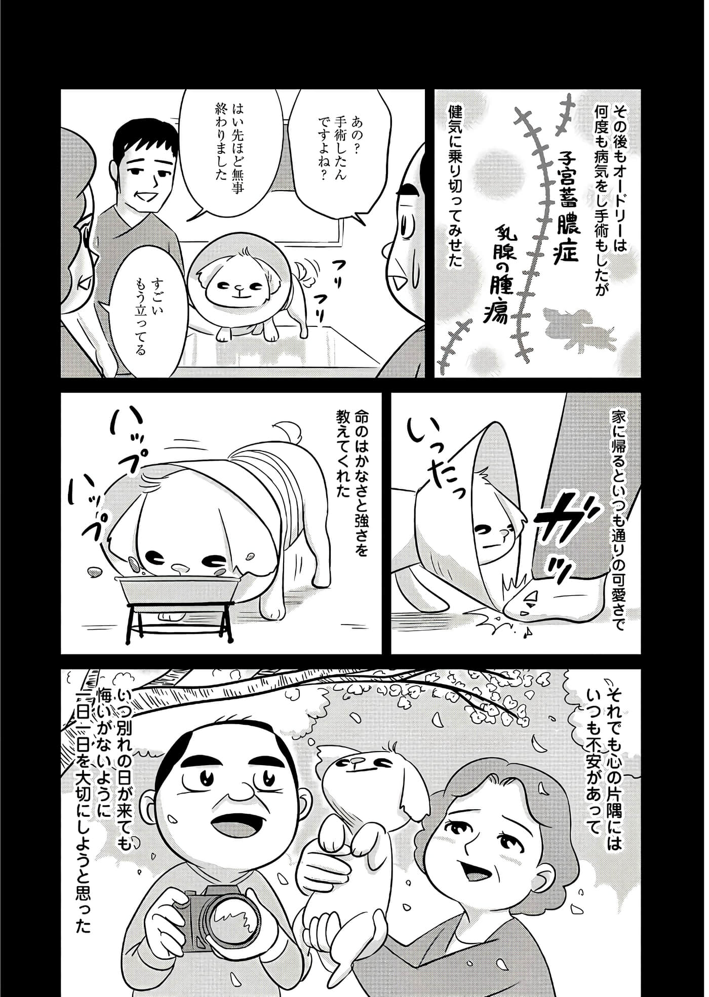 Page 169