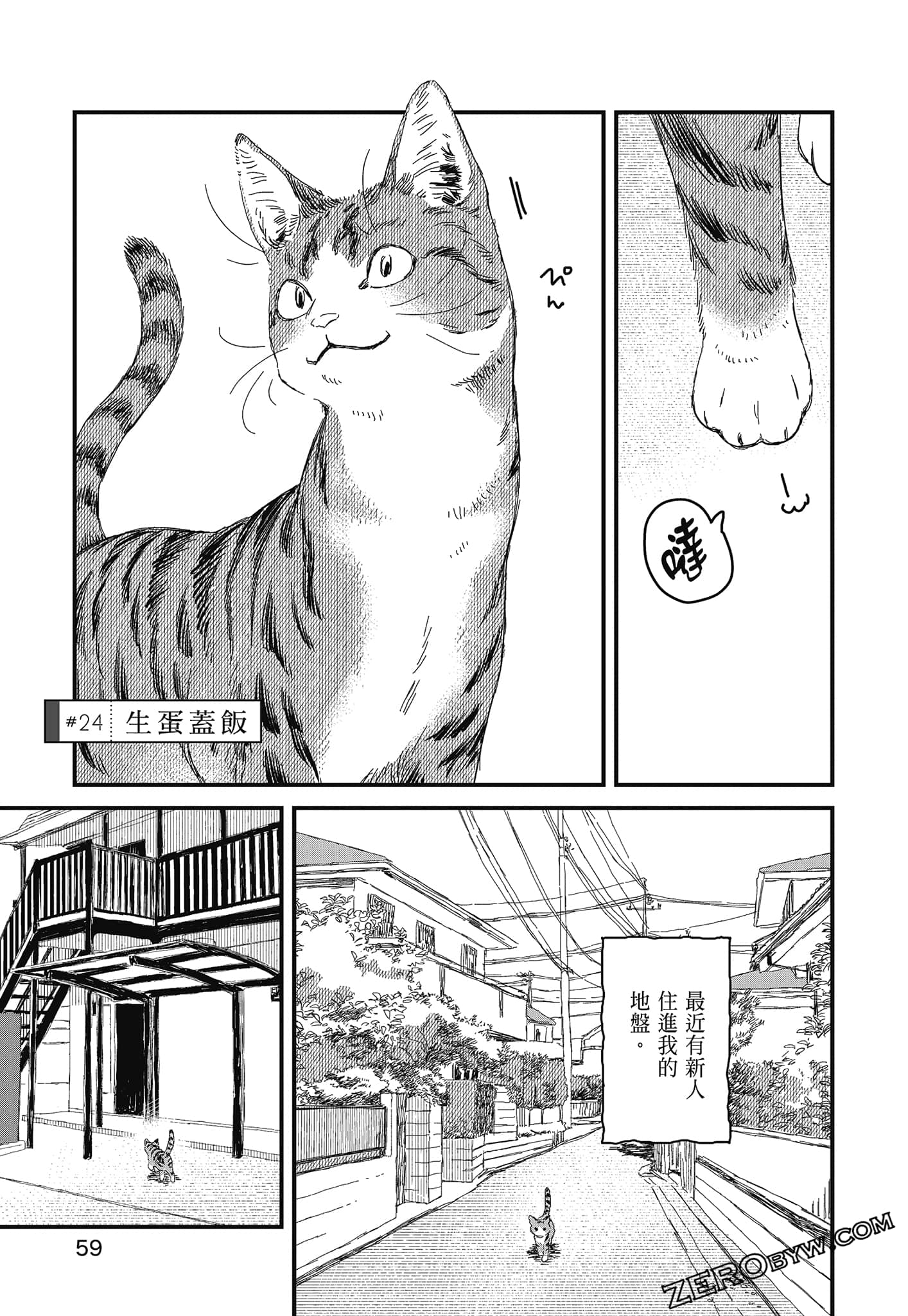 Page 61