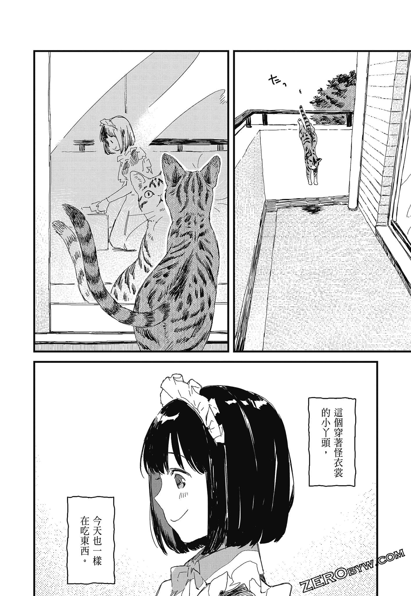 Page 62